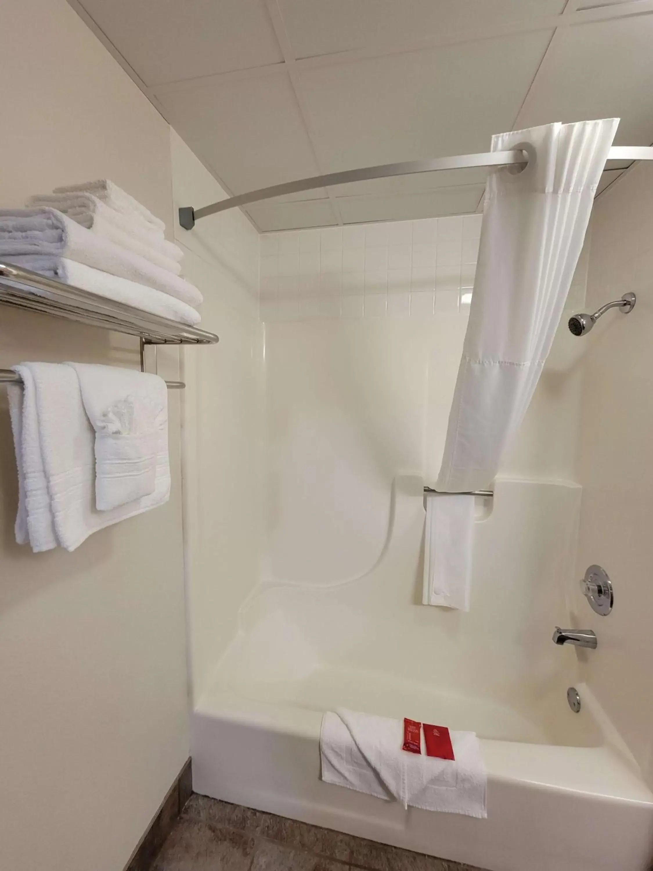 Bathroom in SureStay Plus Hotel by Best Western Grand Island