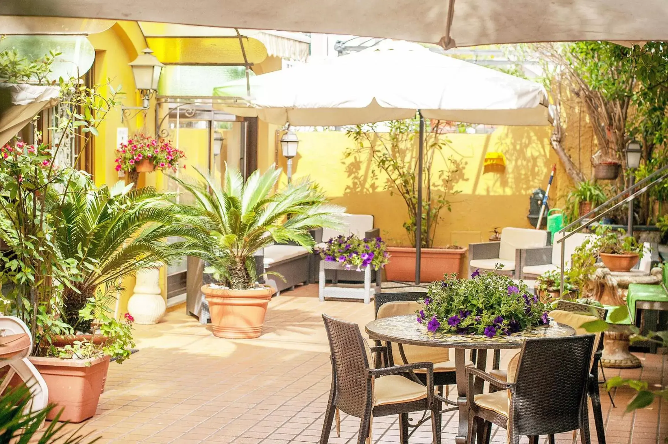 Patio in Hotel Annabelle