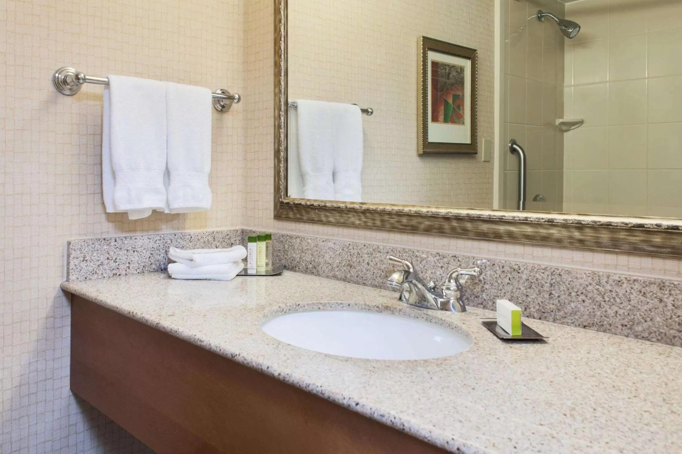 Toilet in DoubleTree by Hilton Grand Junction