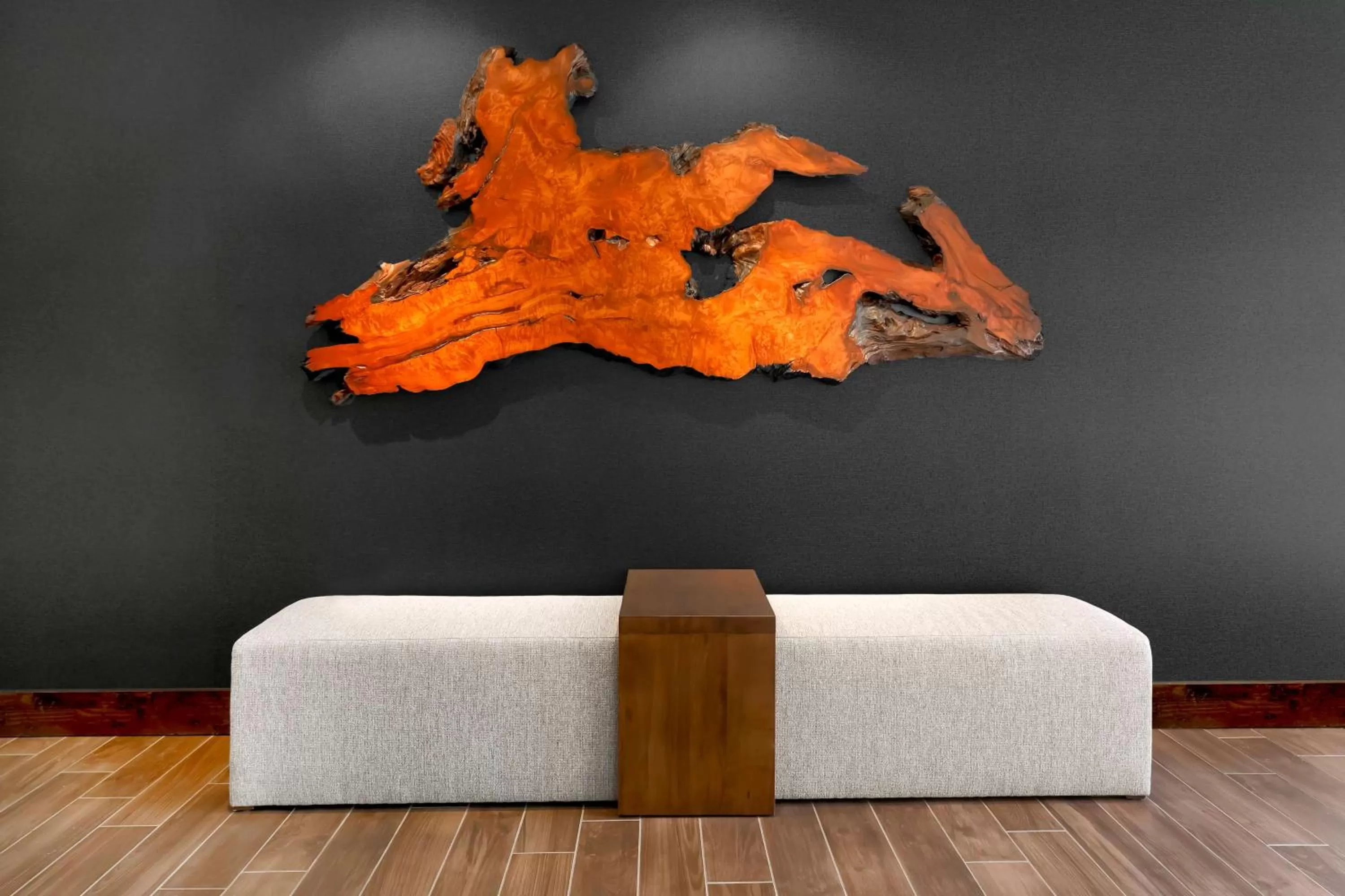 Lobby or reception in Hampton Inn & Suites Windsor-Sonoma Wine Country