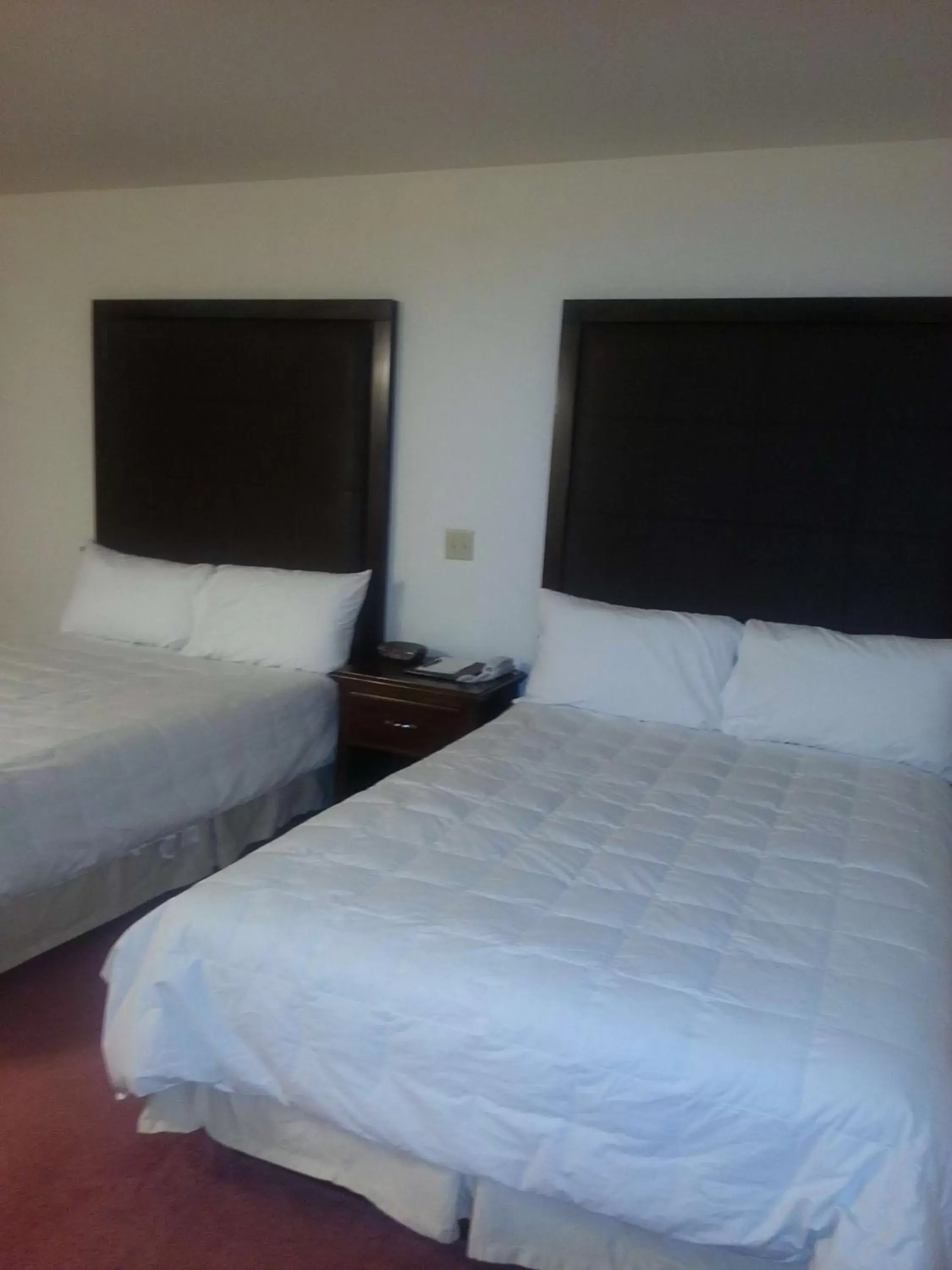 Photo of the whole room, Bed in Harlan Inn and Suites