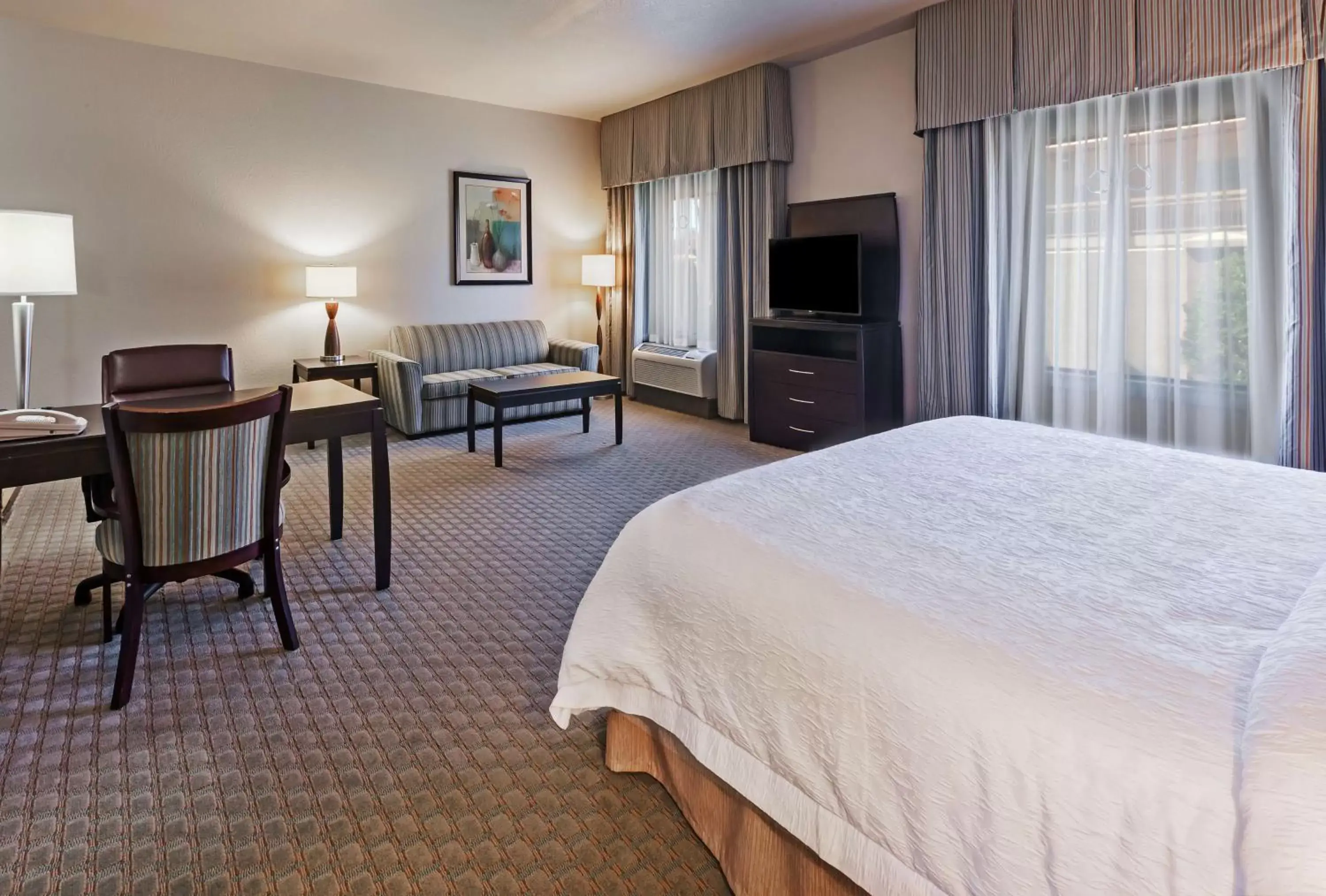 Bedroom, TV/Entertainment Center in Hampton Inn and Suites Lake Jackson-Clute