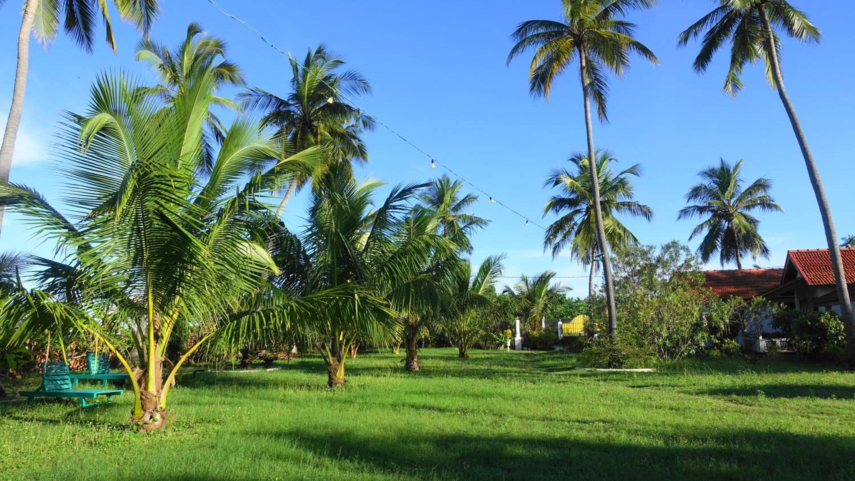 Garden in Regina Beach Bungalow