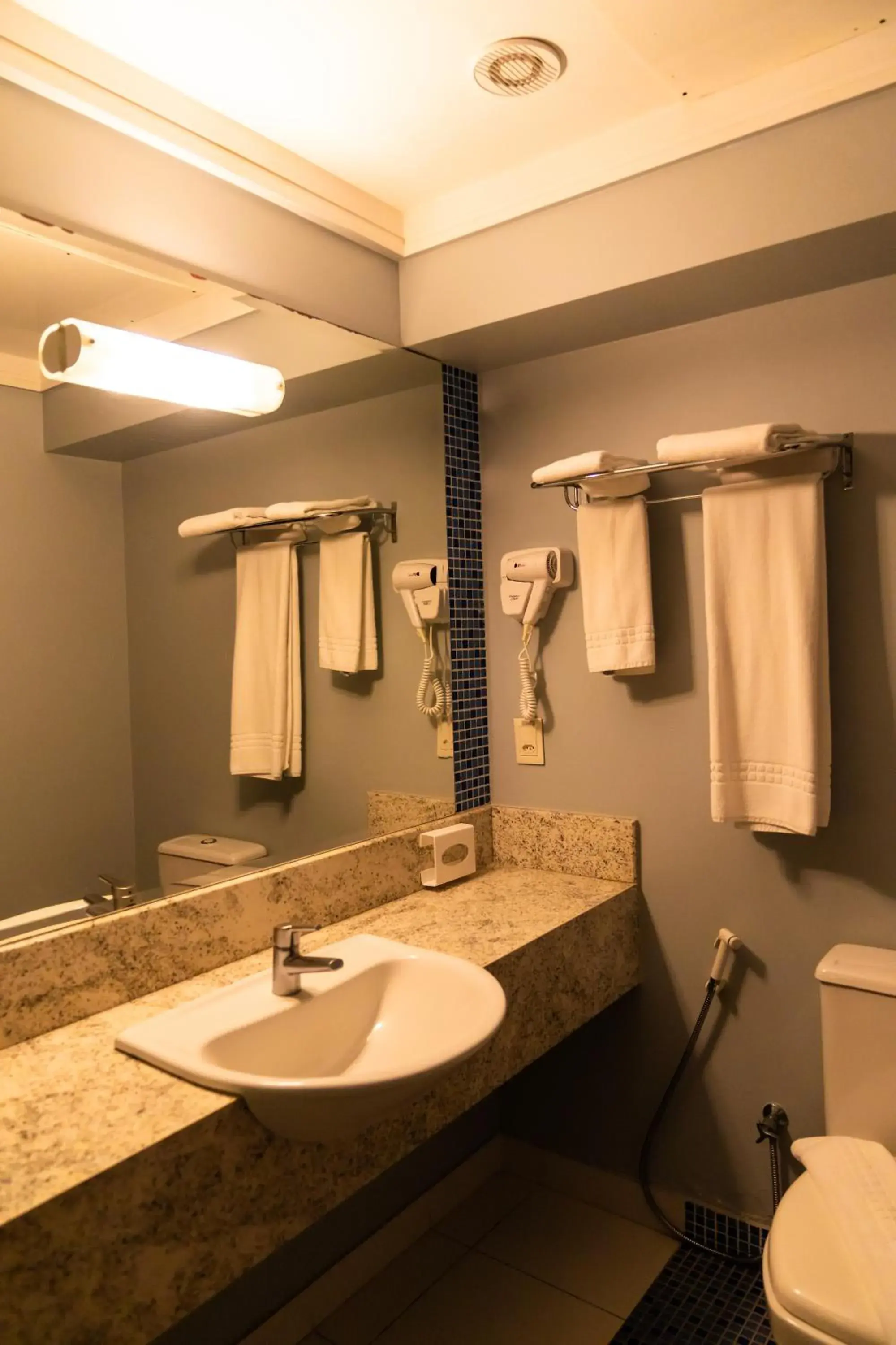 Toilet, Bathroom in Holiday Inn Cuiaba, an IHG Hotel