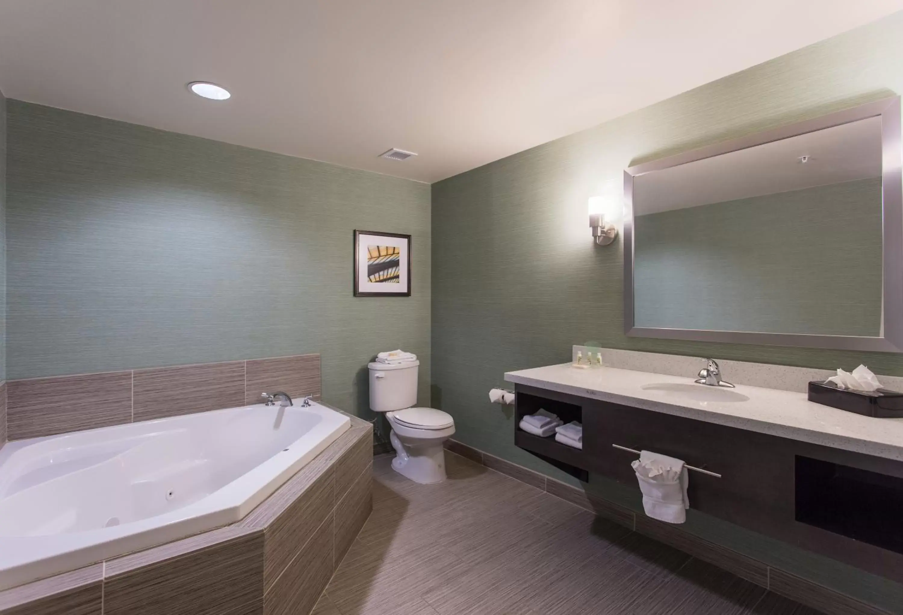 Photo of the whole room, Bathroom in Holiday Inn Texarkana Arkansas Convention Center, an IHG Hotel