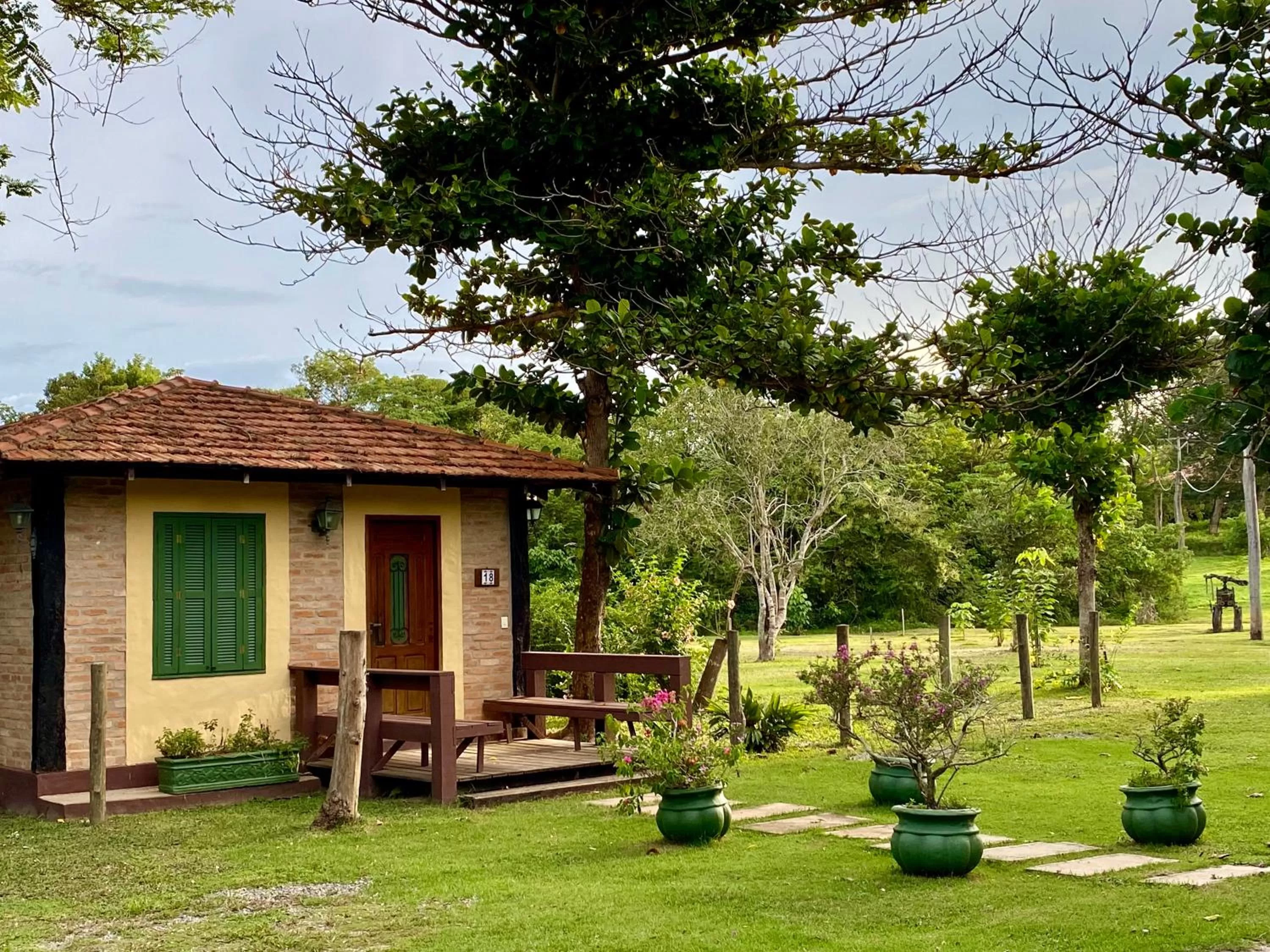 View (from property/room) in Hotel Santa Esmeralda