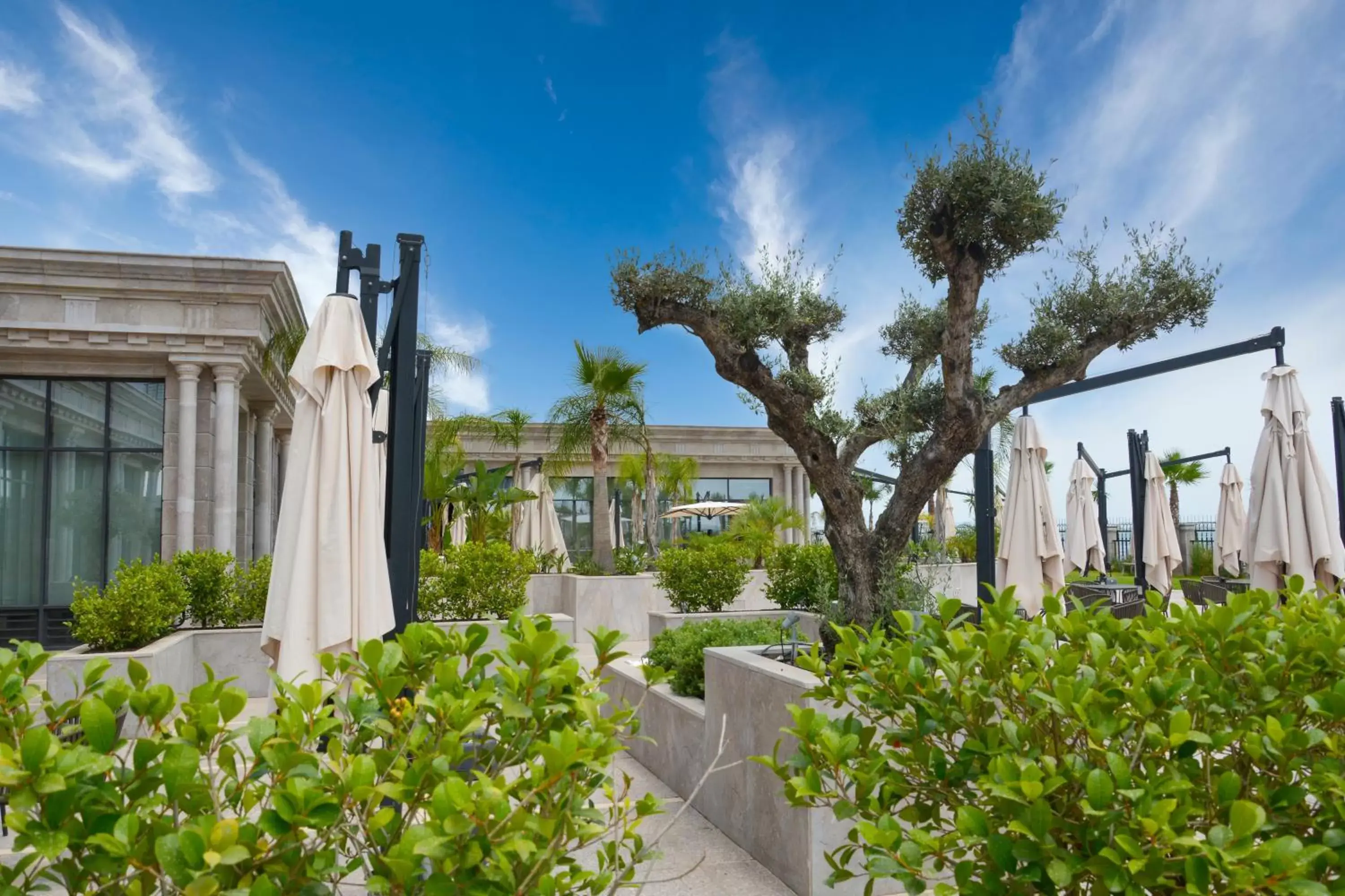 Garden, Property Building in Mövenpick Hotel du Lac Tunis