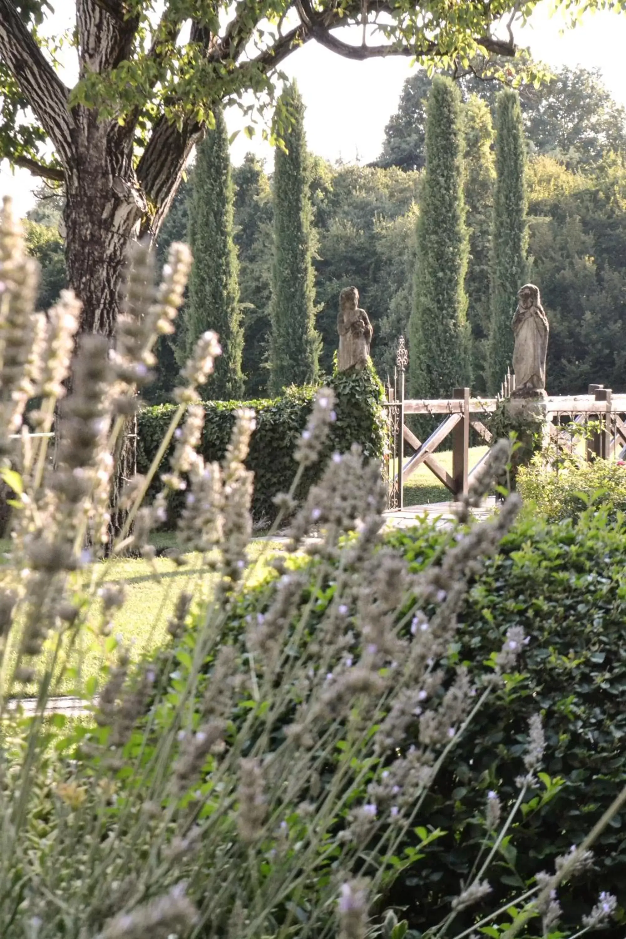 Natural landscape in Castello di Cernusco Lombardone