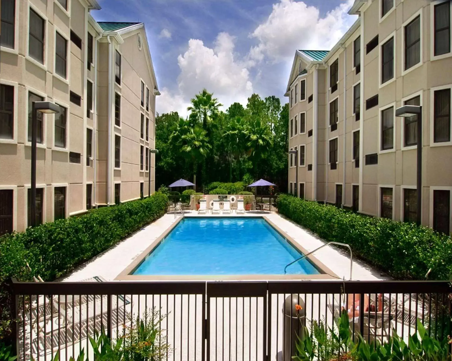 Pool view, Swimming Pool in Hampton Inn & Suites Tampa-North
