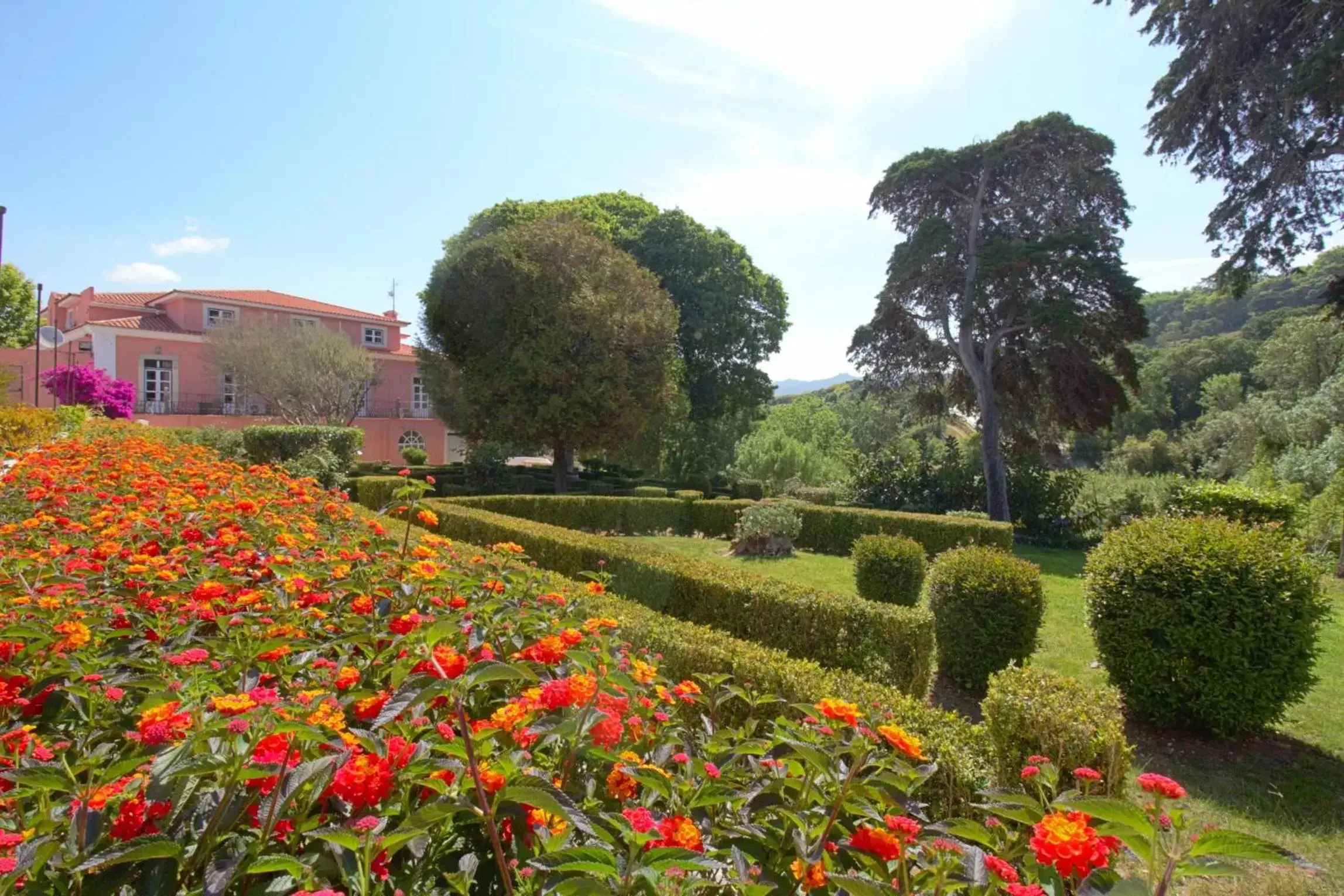 Garden in WOT Sintra Sarrazola