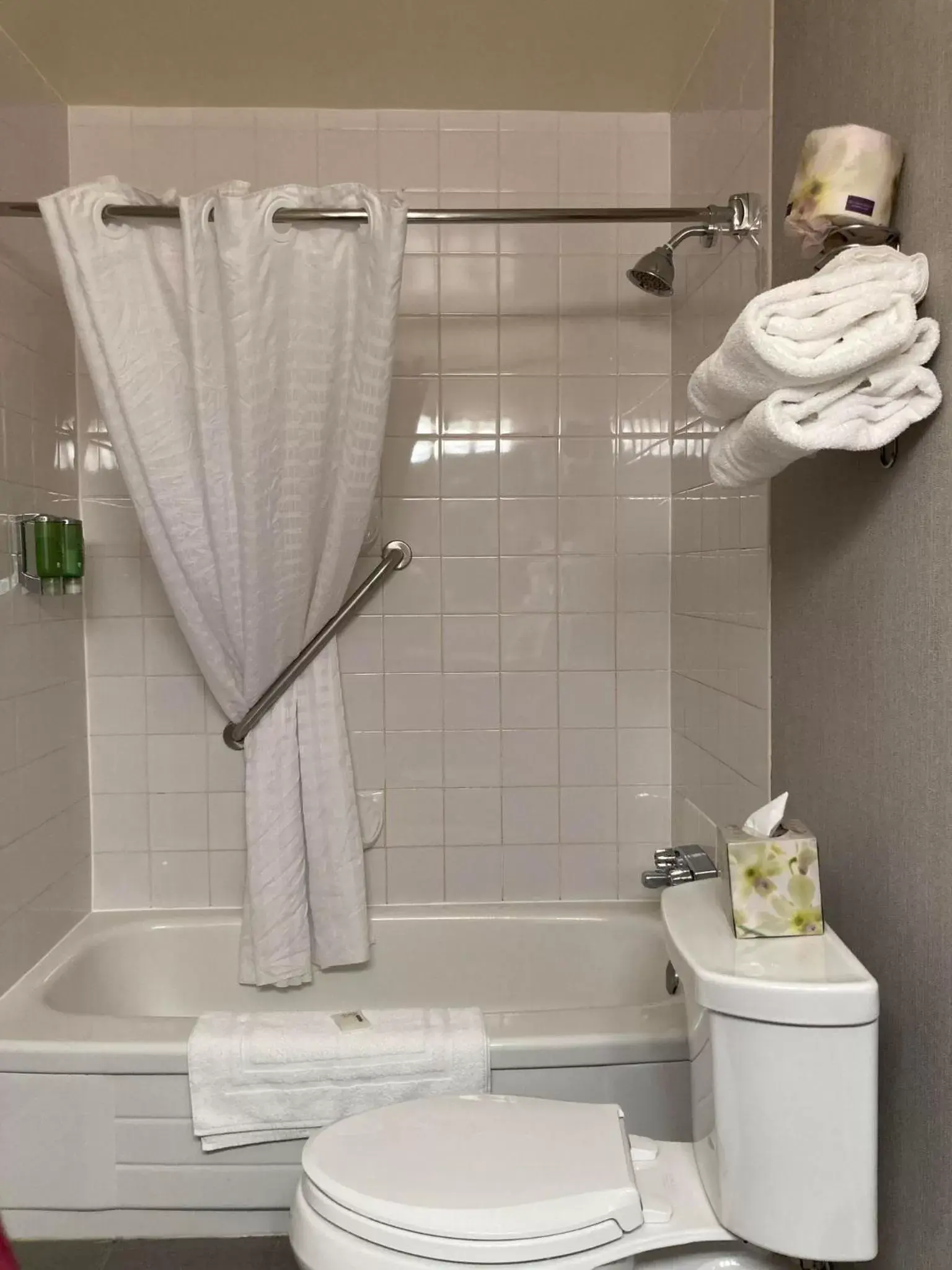 Shower, Bathroom in Lake Louise Inn