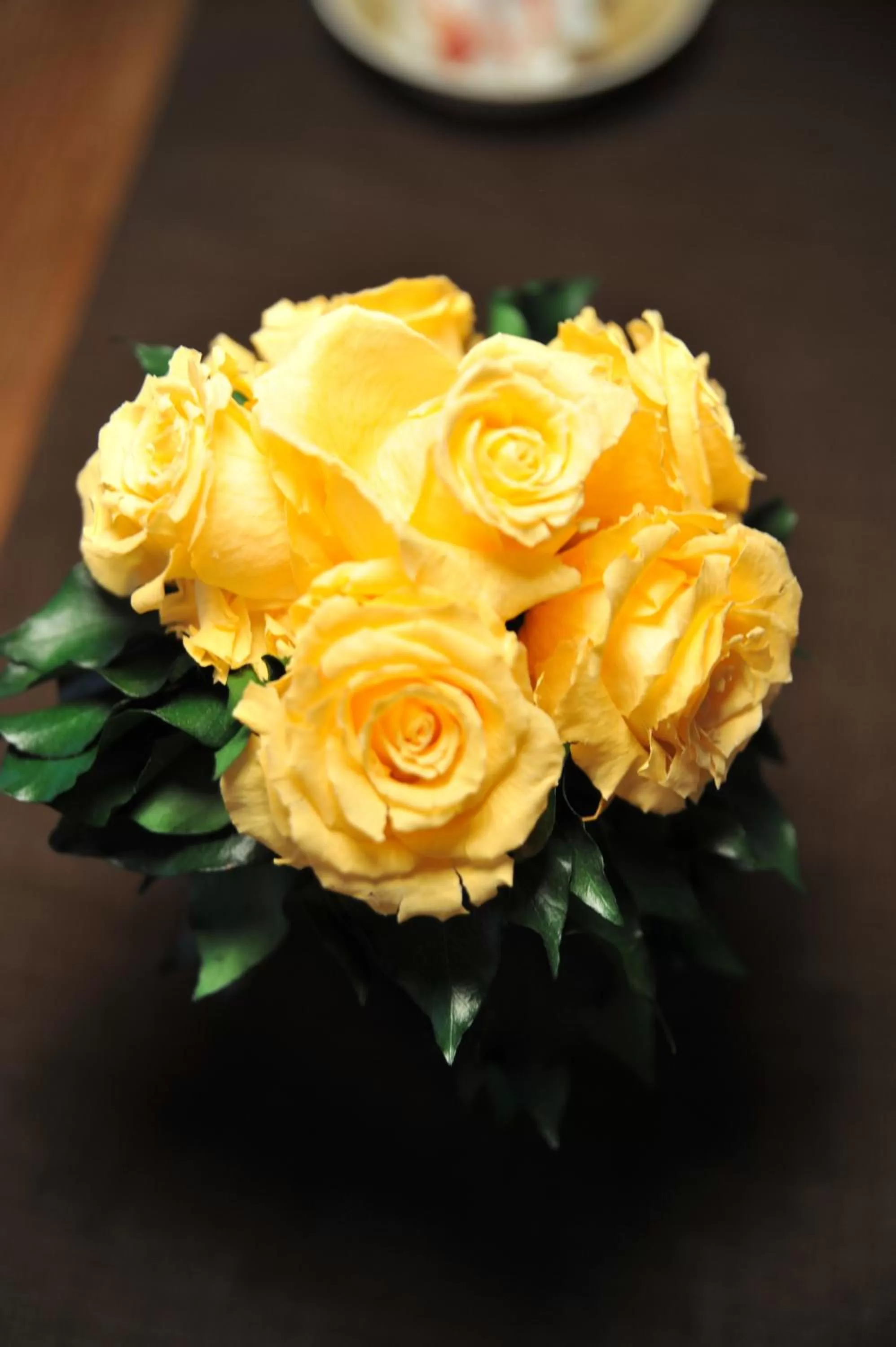 Decorative detail in Passau - Suites