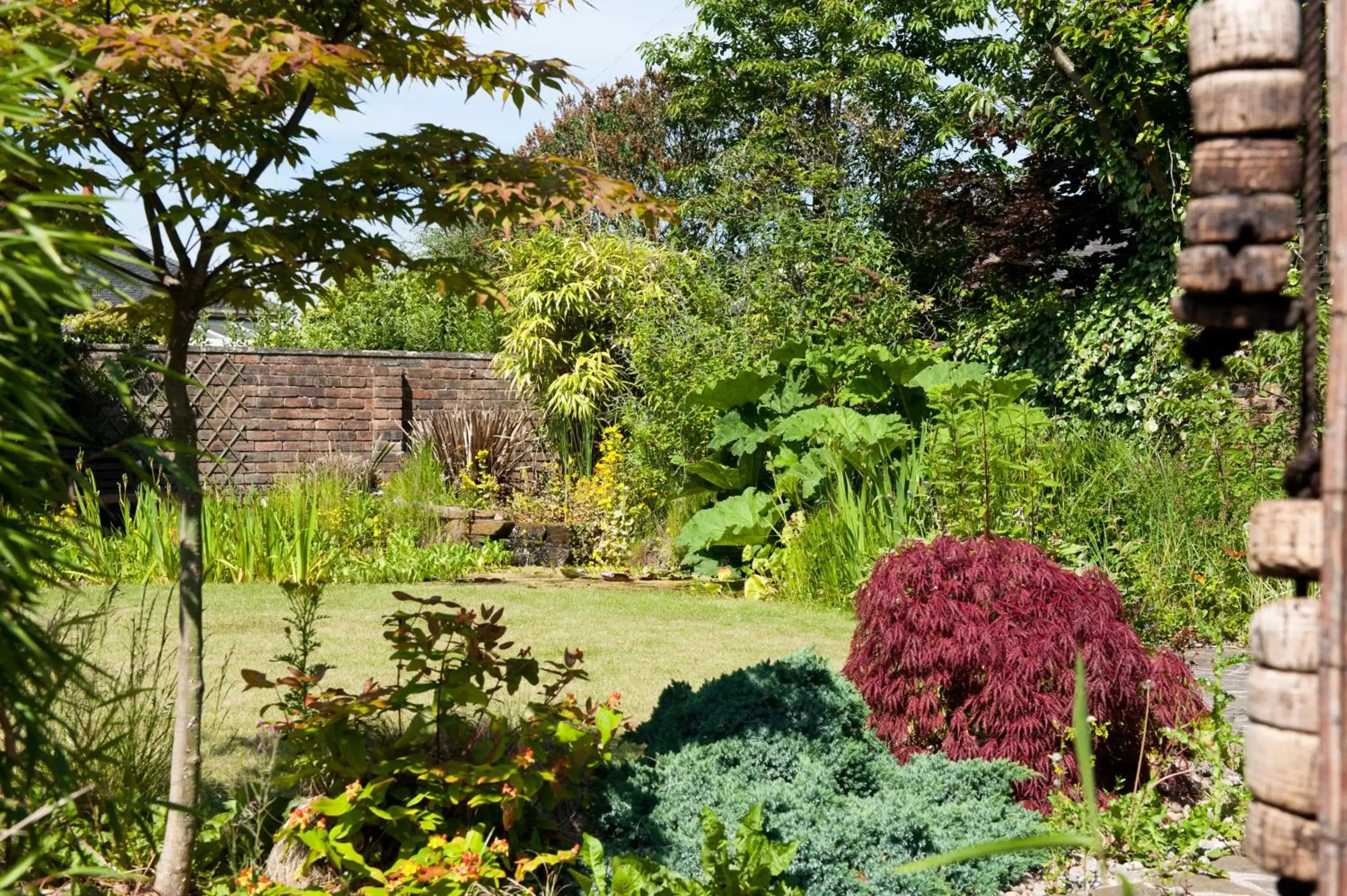 Garden in Craigievar Guest House