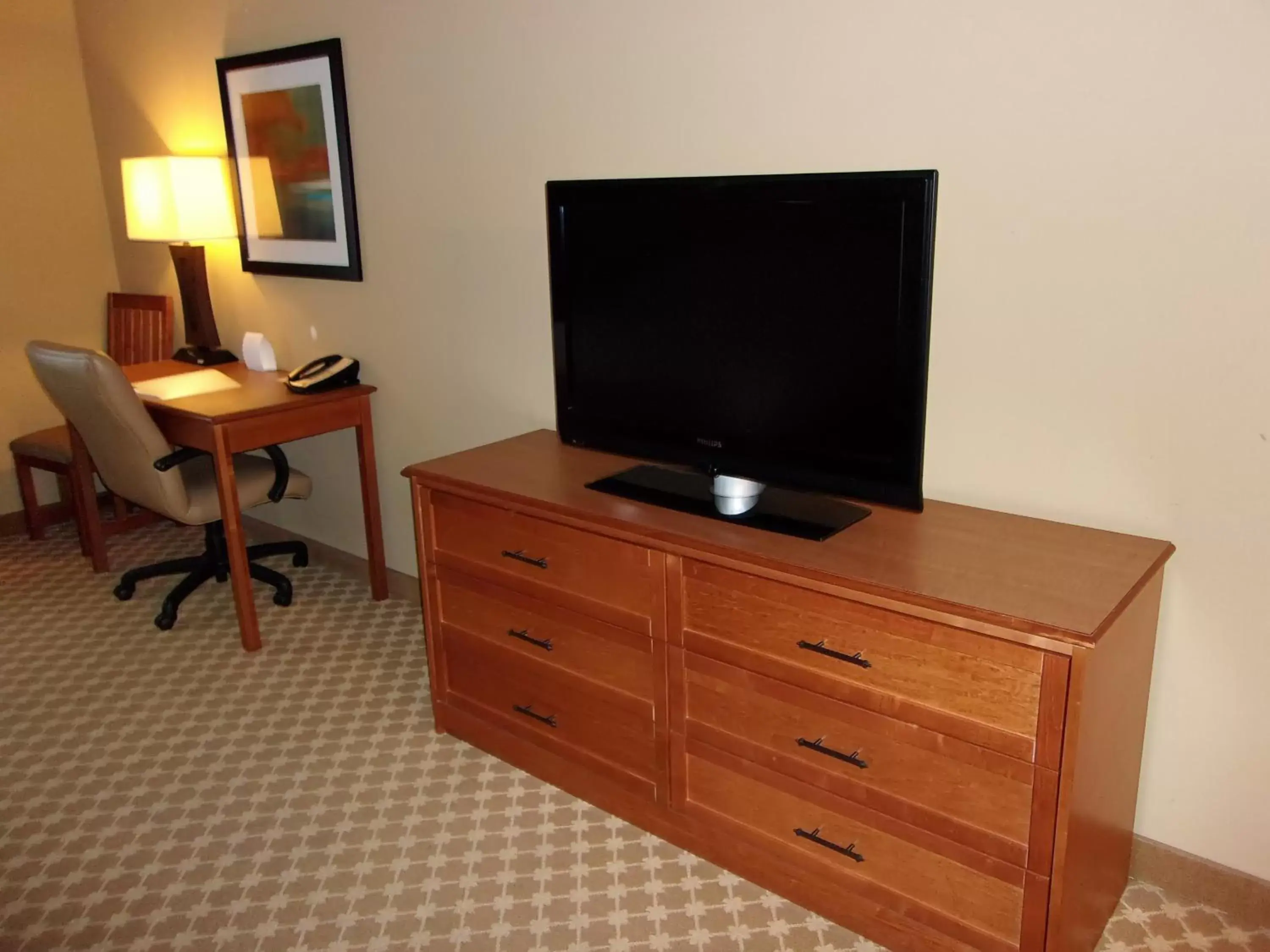 Photo of the whole room, TV/Entertainment Center in Holiday Inn Express Hotel & Suites Chicago West Roselle, an IHG Hotel