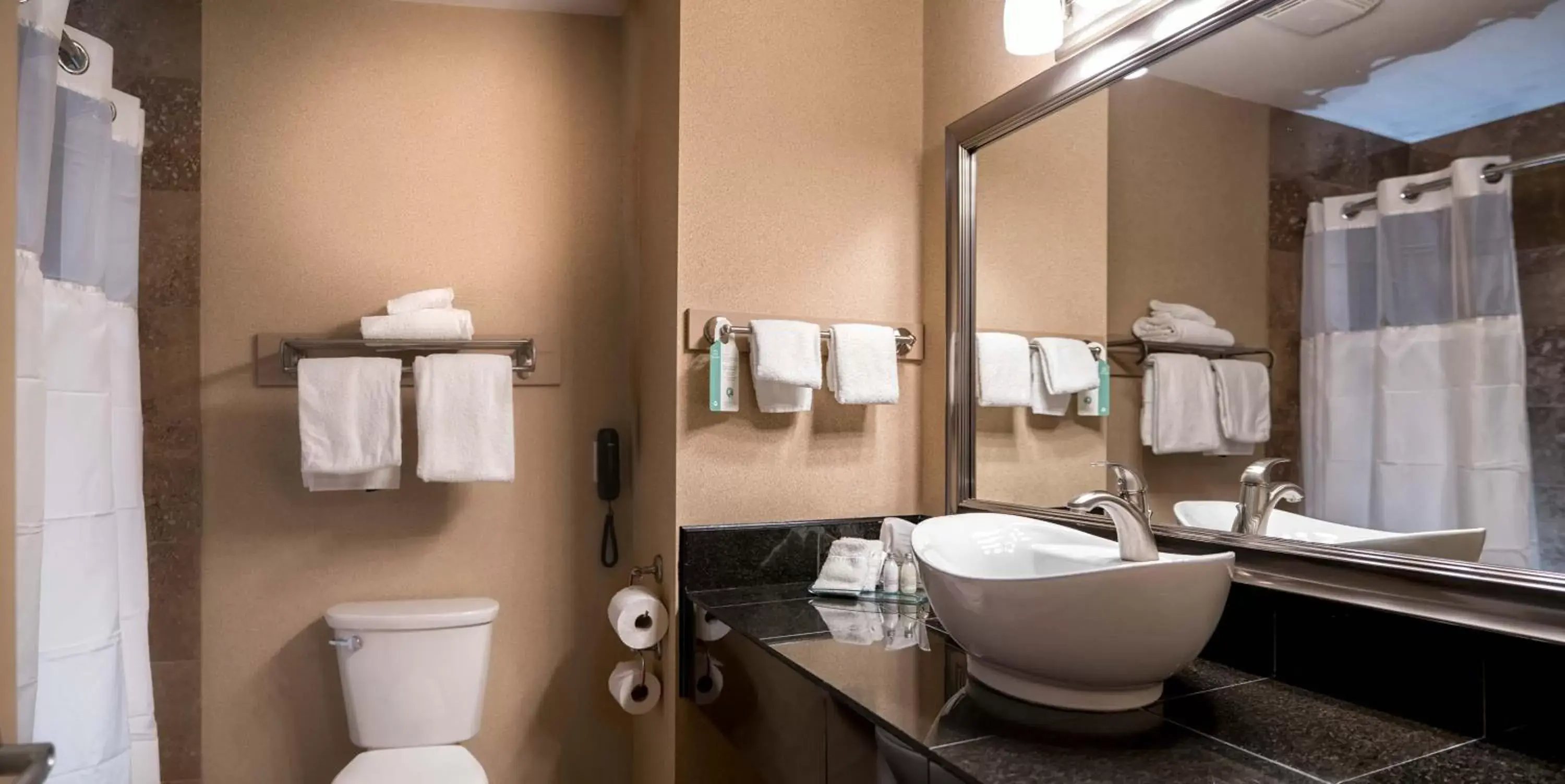 Bathroom in Prestige Radium Hot Springs Resort, WorldHotels Crafted