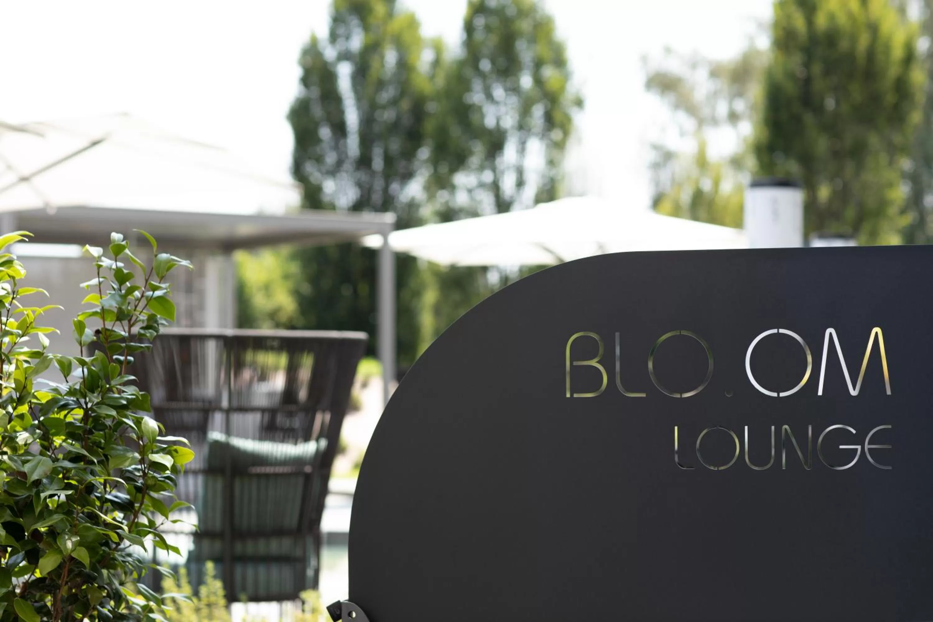 Lounge or bar in MO.OM Hotel