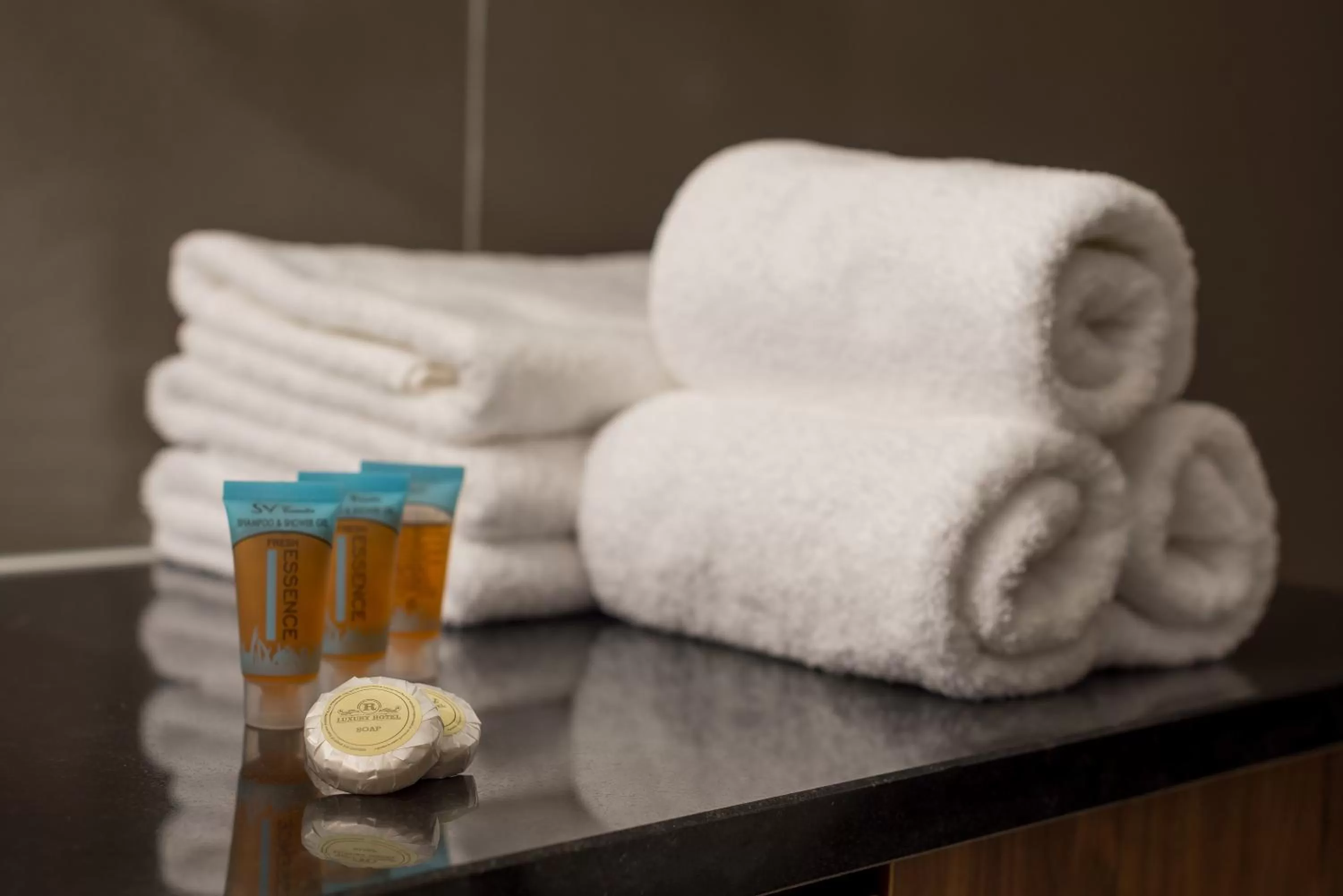 Bathroom in Deluxe & Executive SPA by Rafaelo