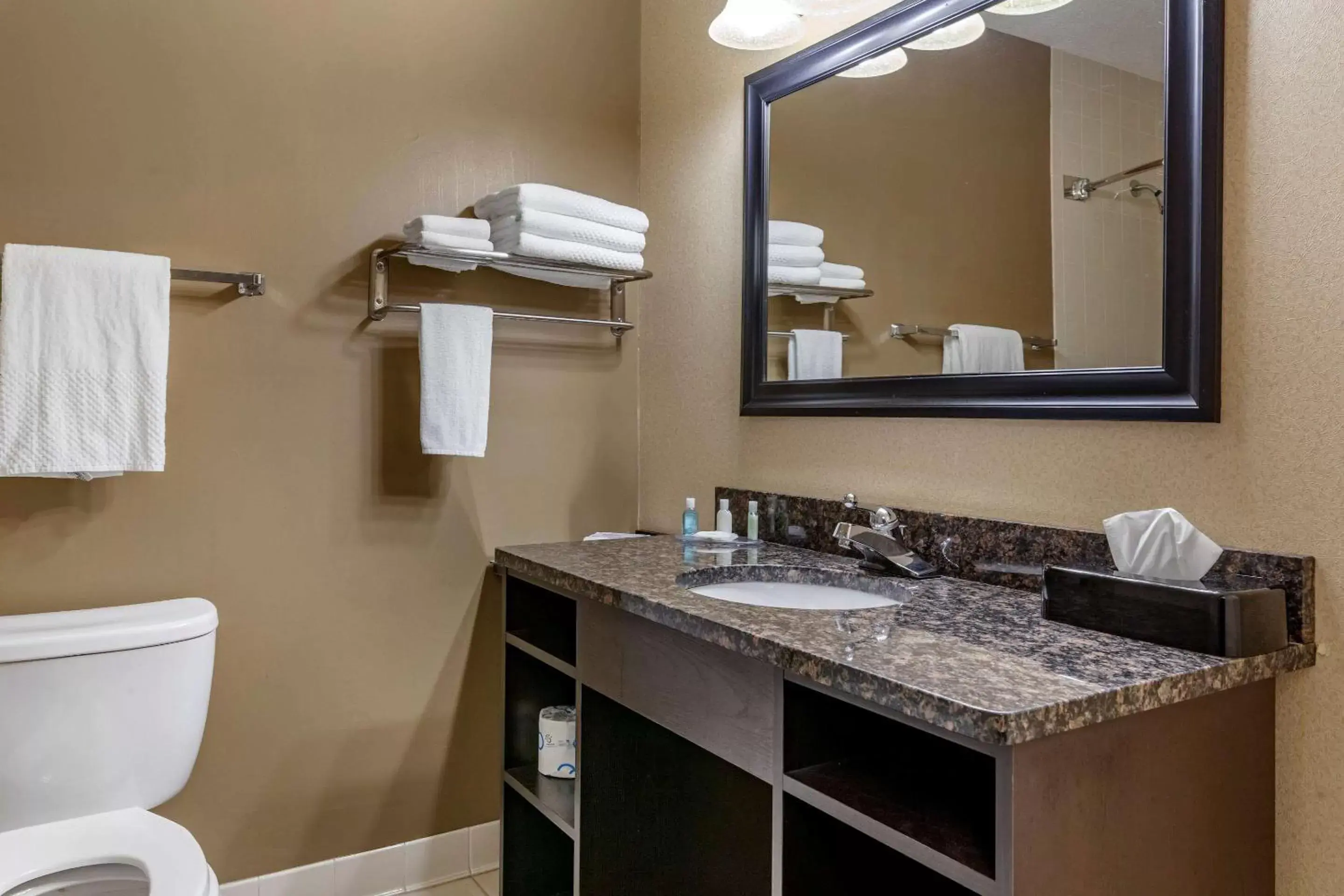 Bathroom in Quality Inn & Suites