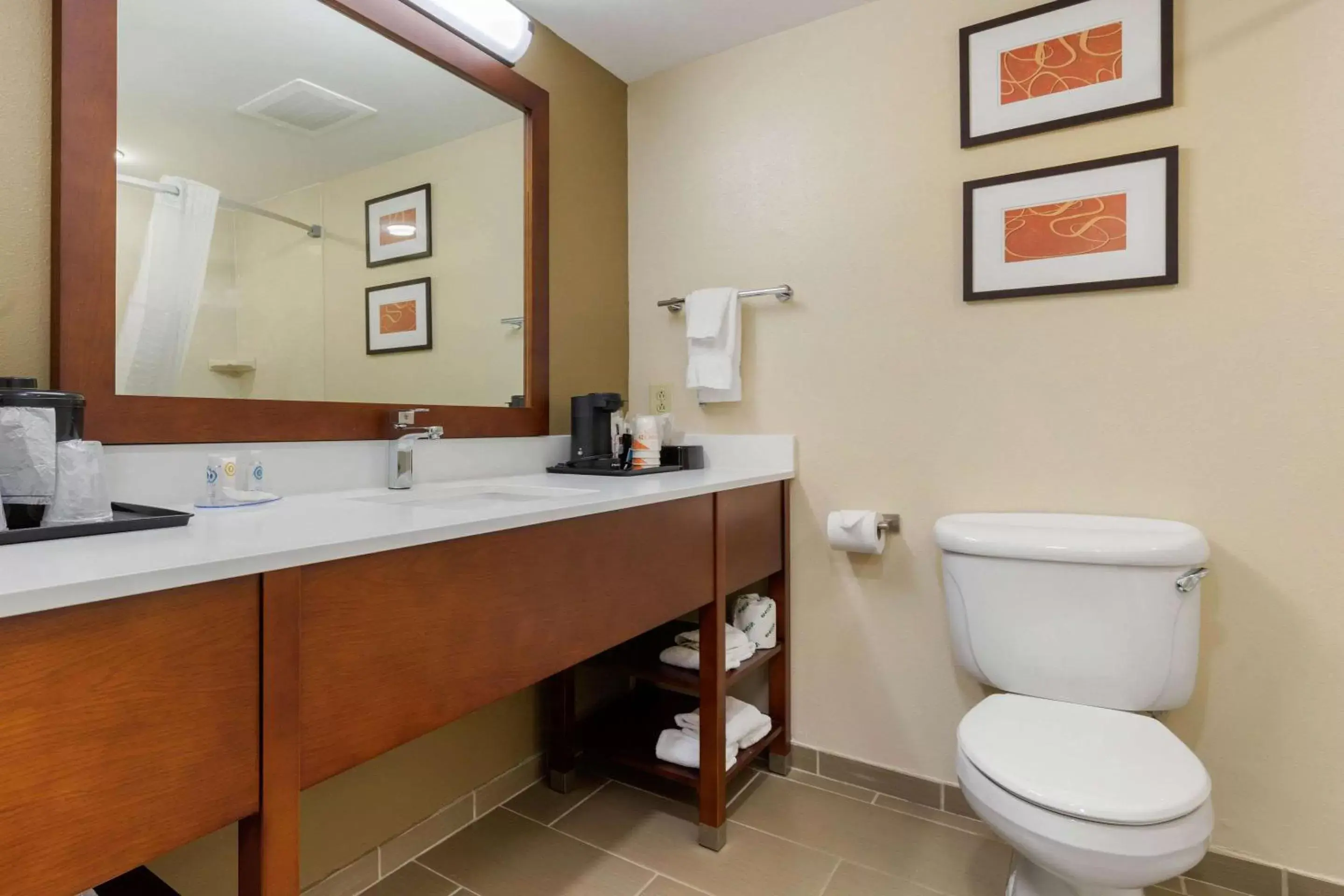 Photo of the whole room, Bathroom in Comfort Inn & Suites Cordele