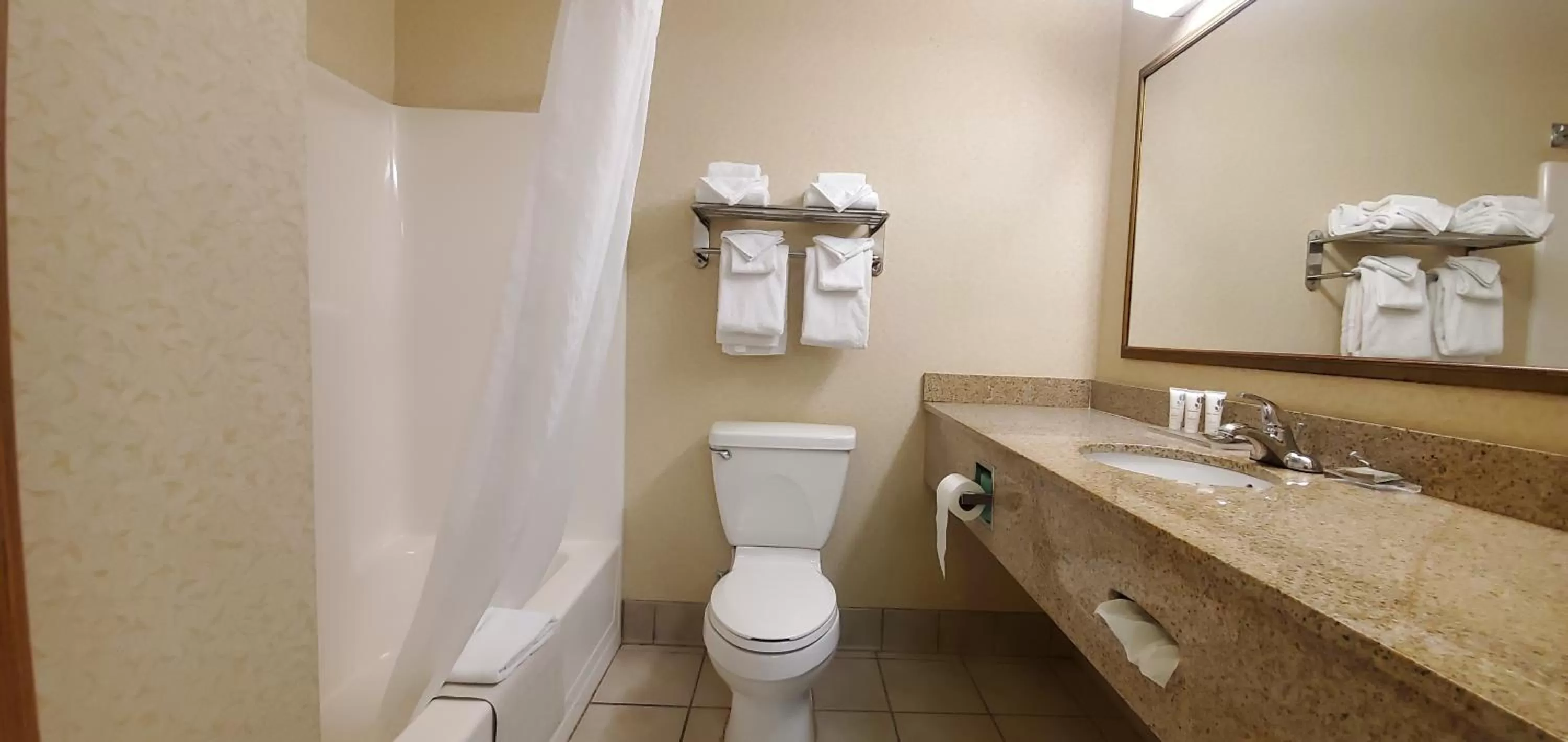 Bathroom in Wingate by Wyndham Youngstown - Austintown