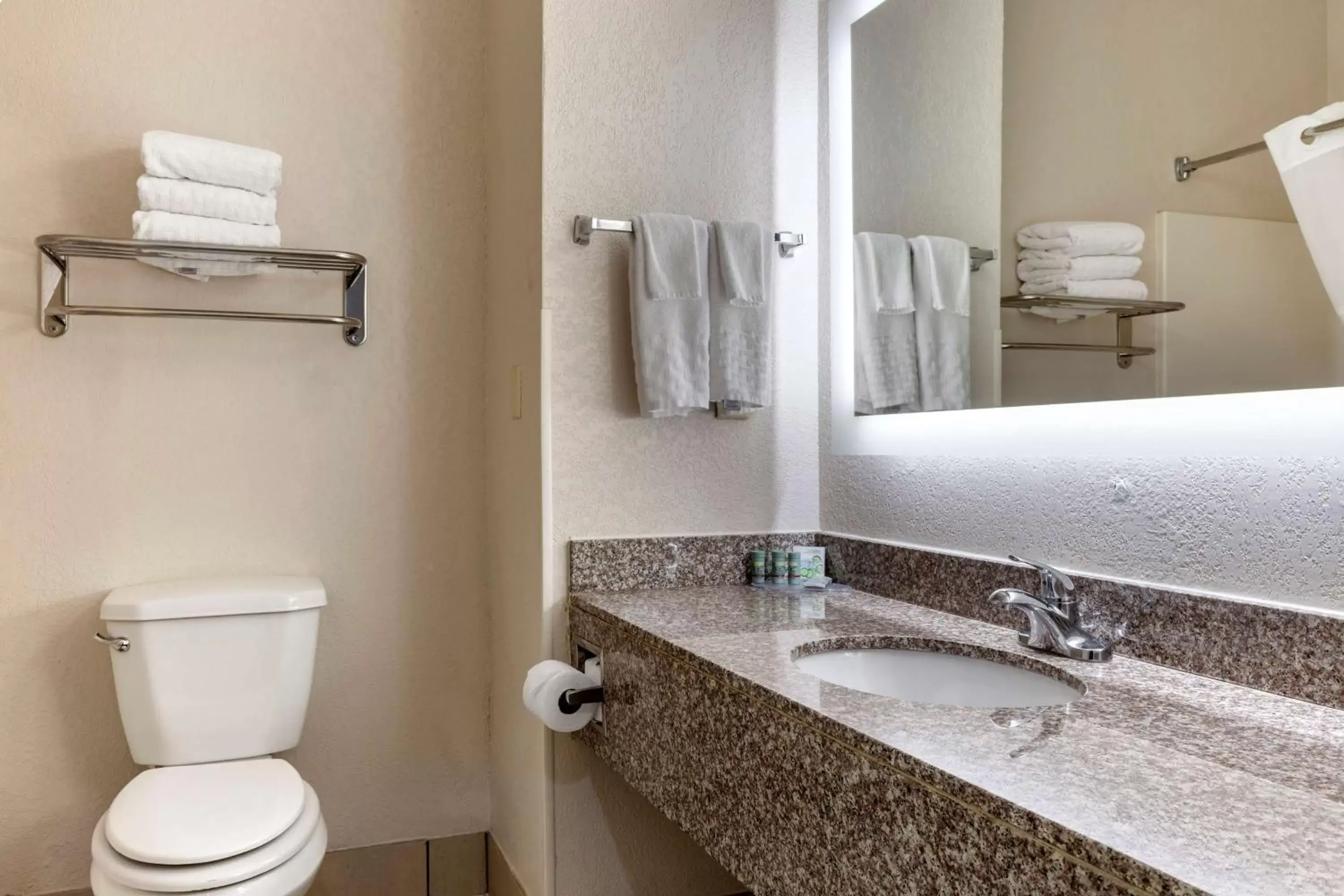 Bathroom in Best Western Palo Duro Canyon Inn & Suites