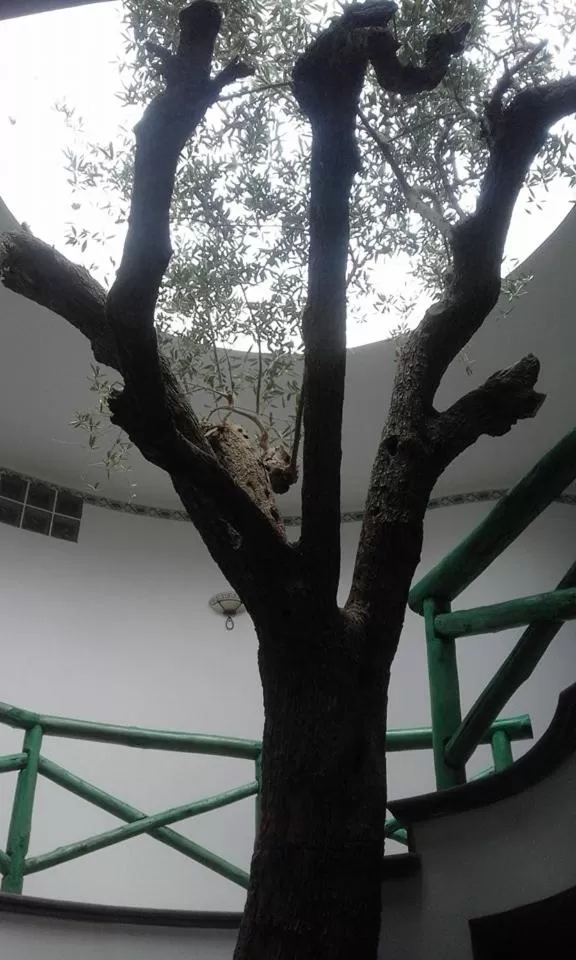 Mountain View in Hotel Sirio