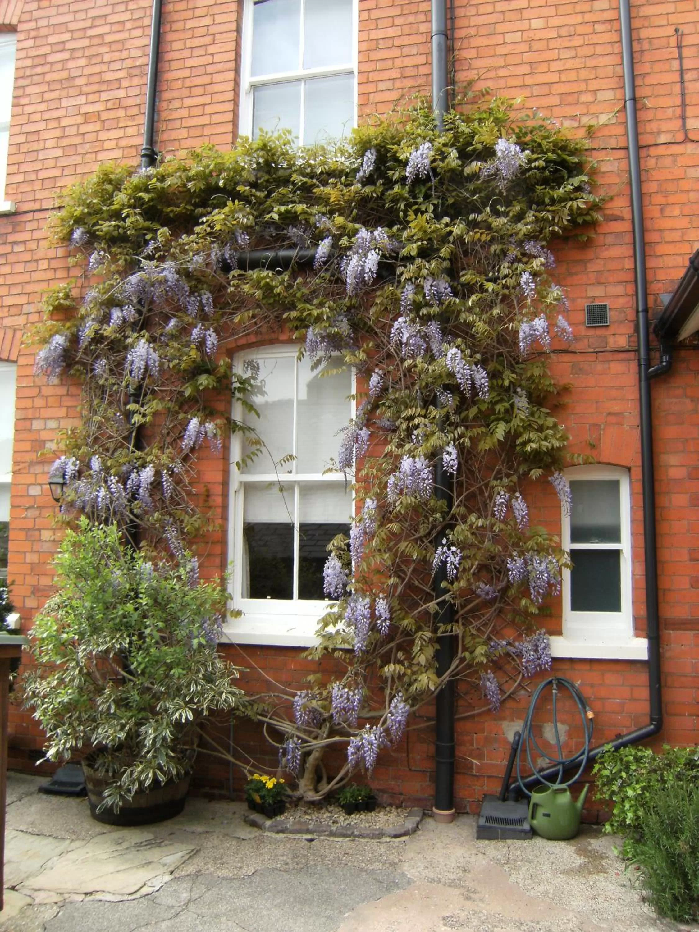 Spring, Patio/Outdoor Area in Bridge House Bed & Breakfast