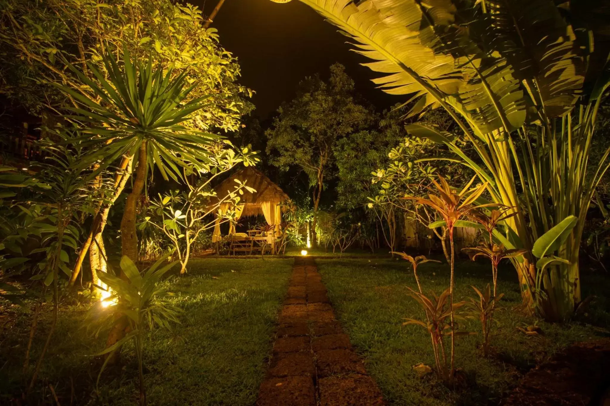 Night, Garden in TARA LODGE Haven of peace