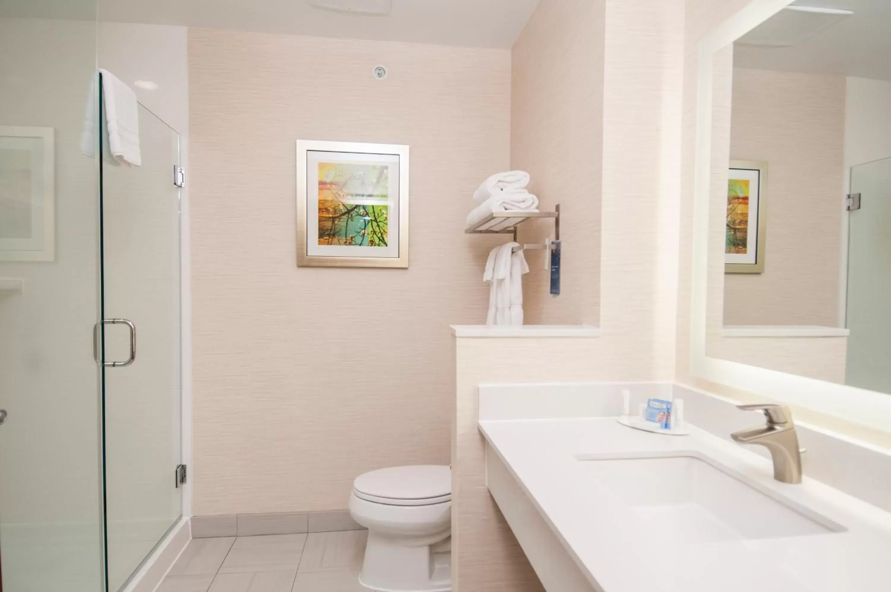 Bathroom in Fairfield Inn & Suites by Marriott Dallas Plano North