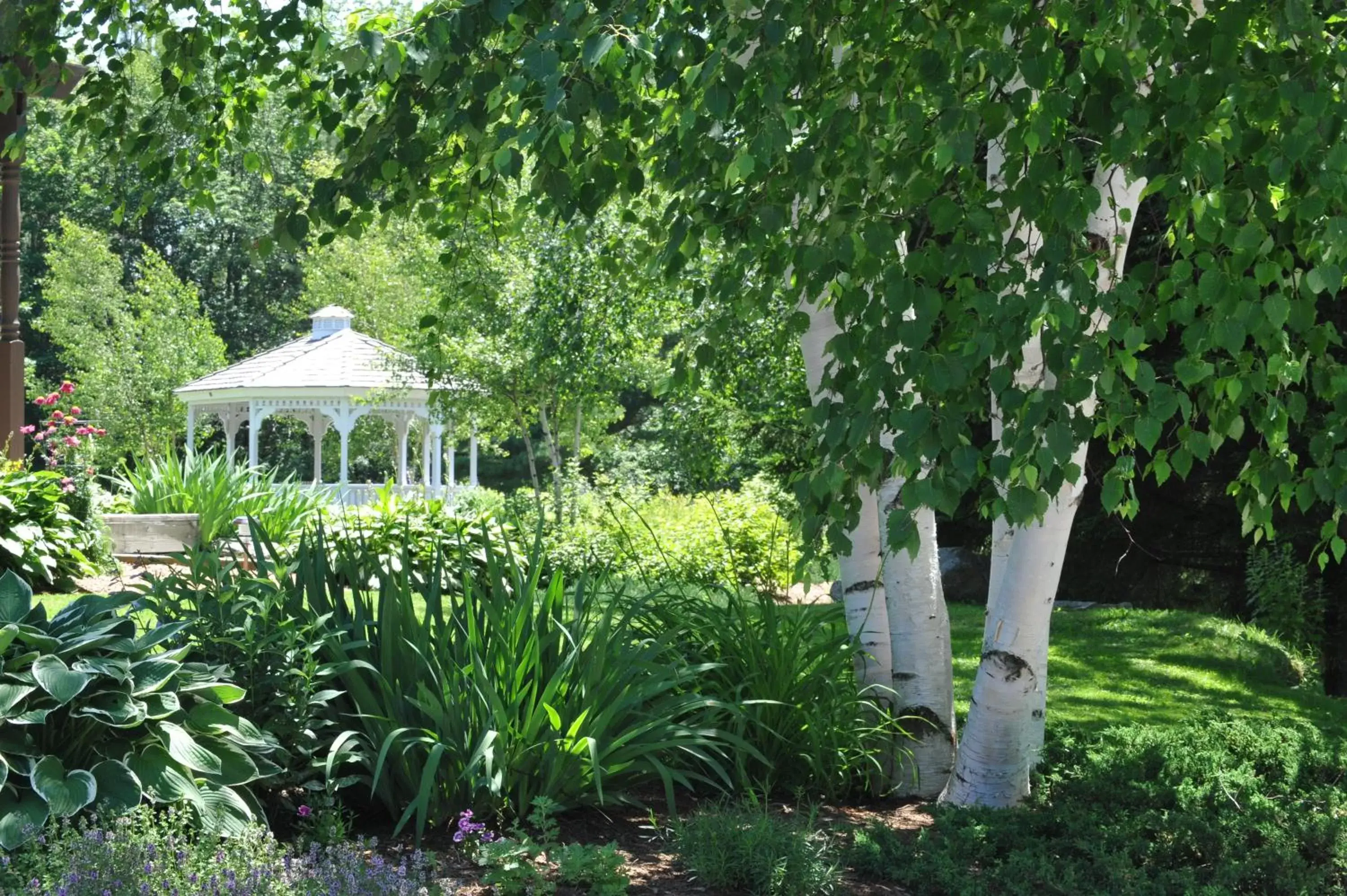 Property building, Garden in Summit Lodge