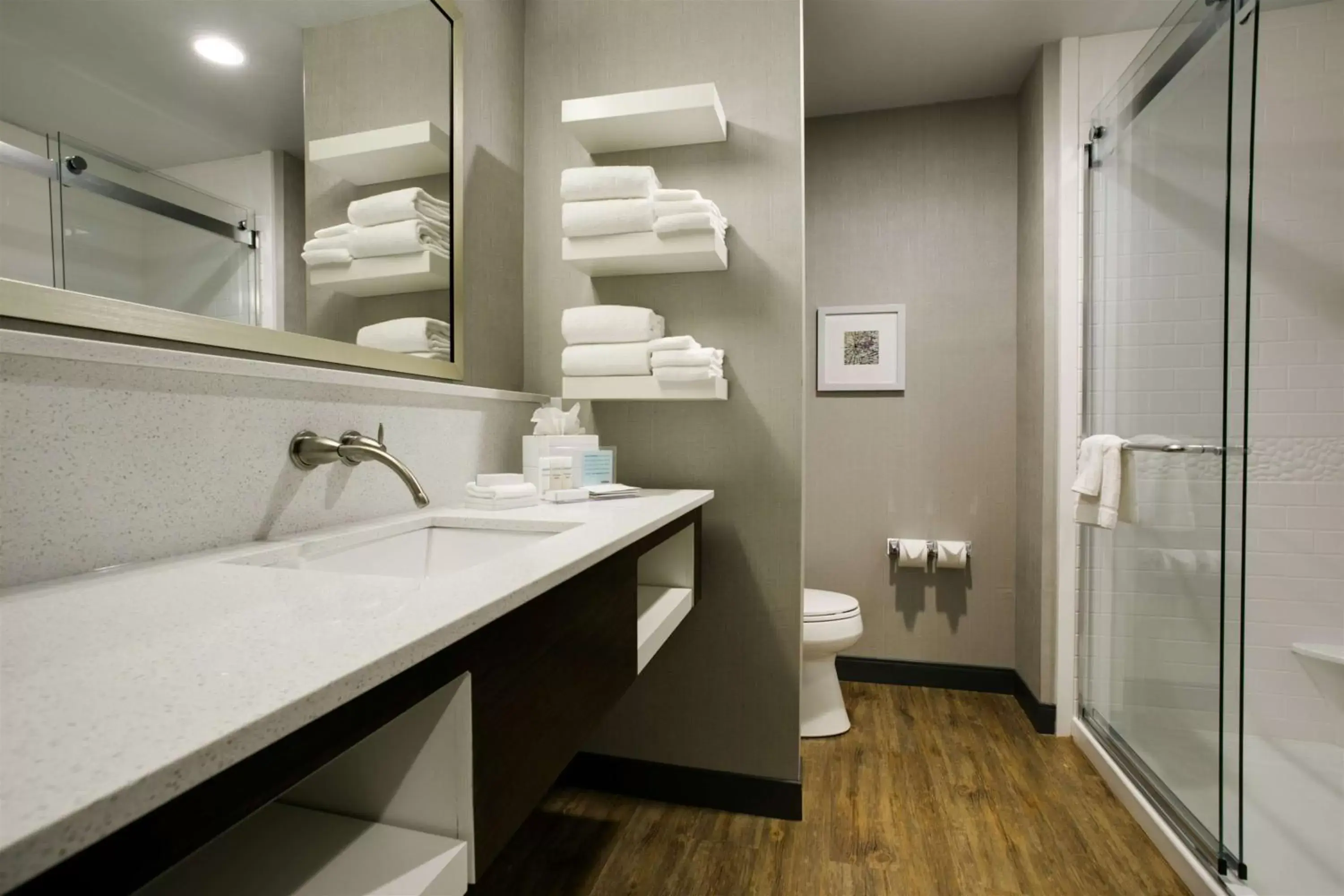 Bathroom in Hampton Inn & Suites Dallas/Ft. Worth Airport South