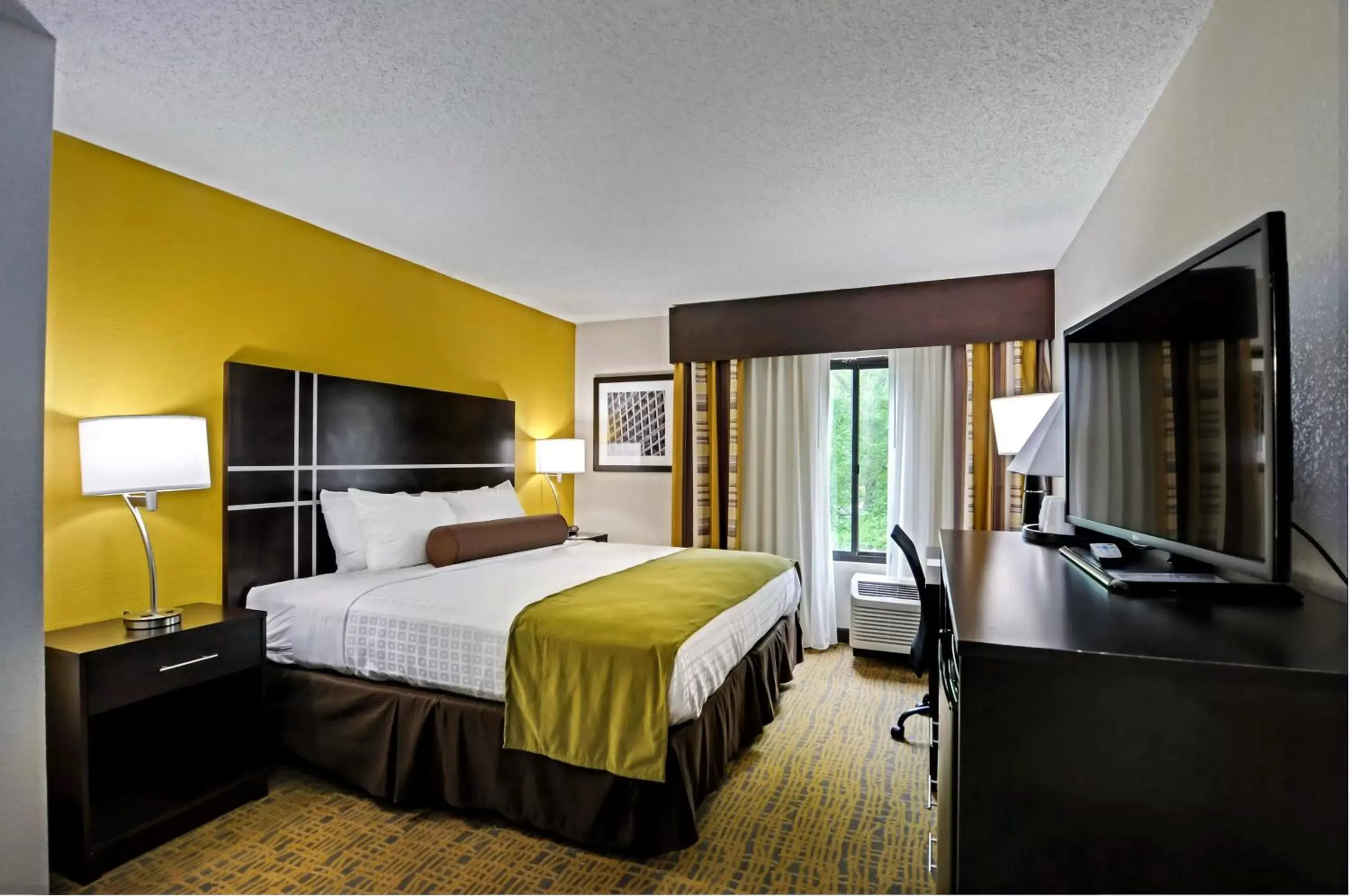 King Room with Roll-In Shower - Disability Access in Best Western Plus Hanes Mall