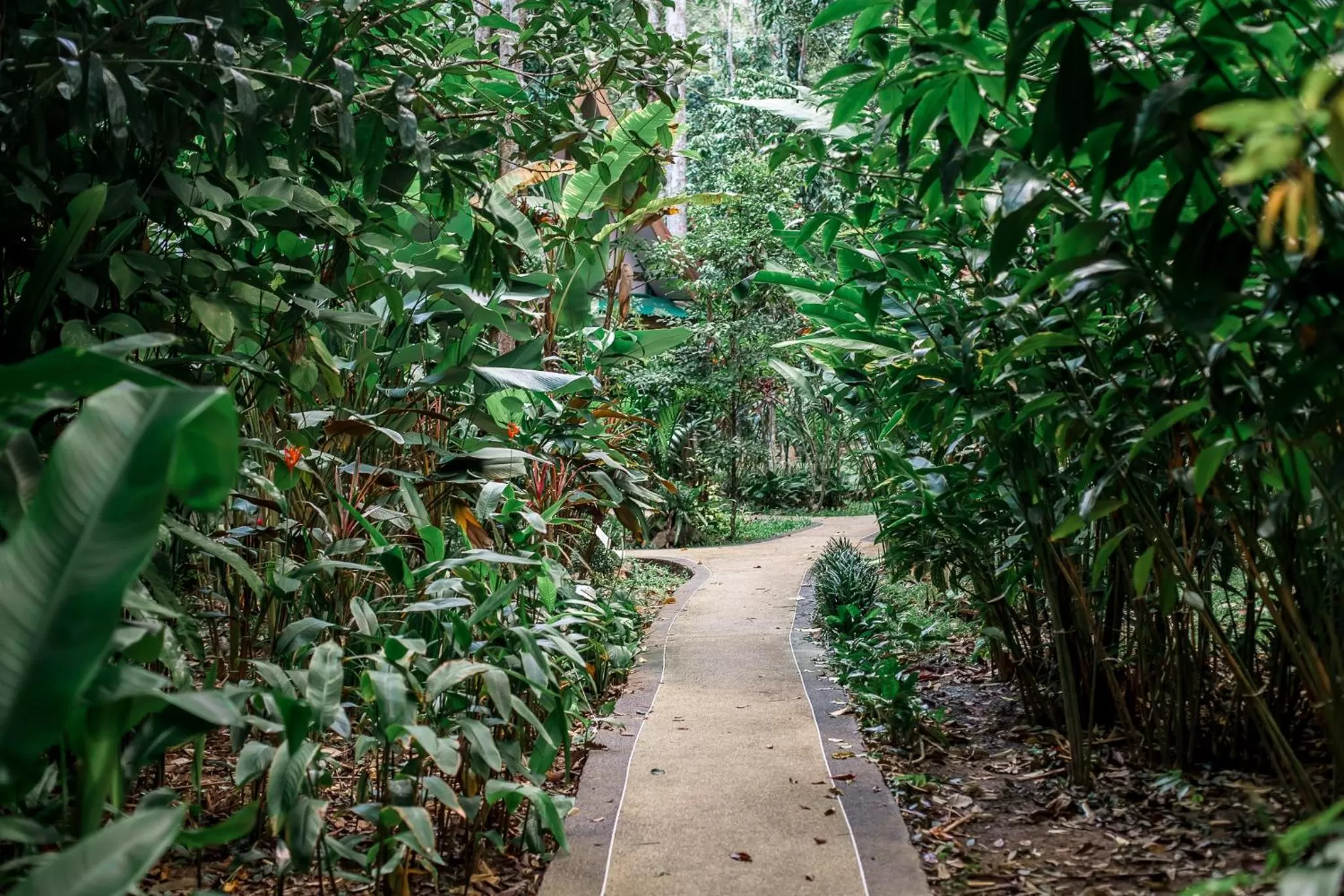 Aonang Cliff View Resort SHA Extra Plus