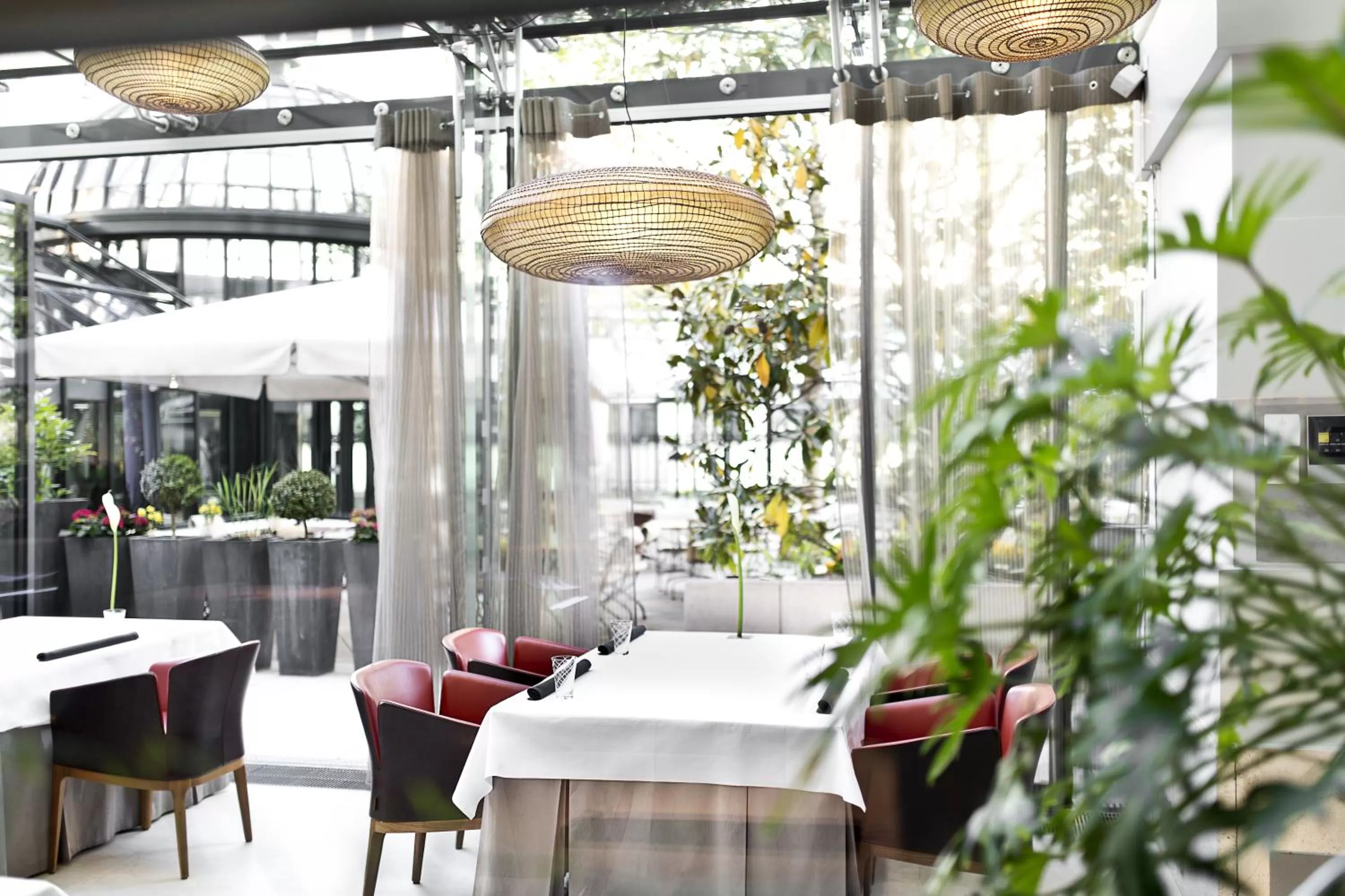 Restaurant/places to eat in Palais Coburg Hotel