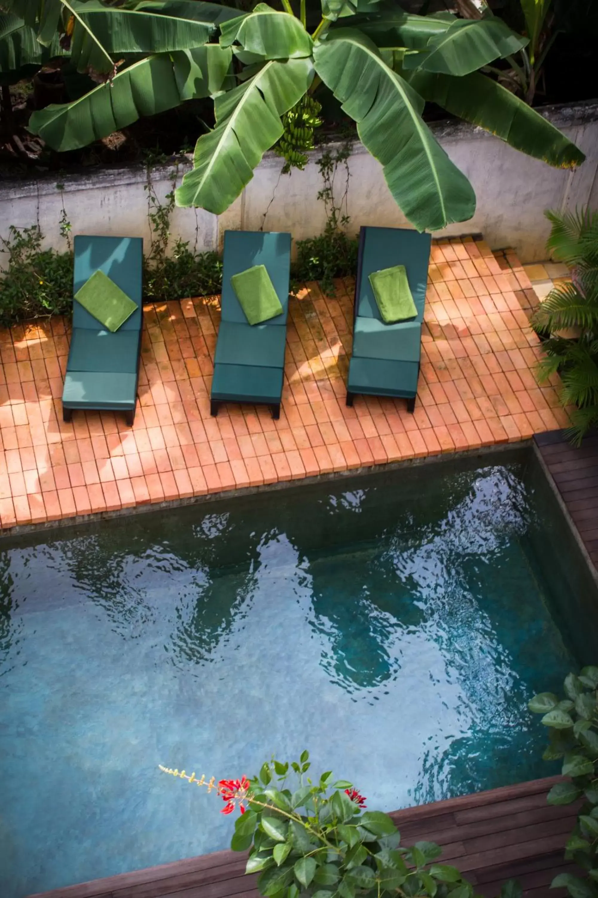 Solarium, Swimming Pool in Pages Rooms Hotel