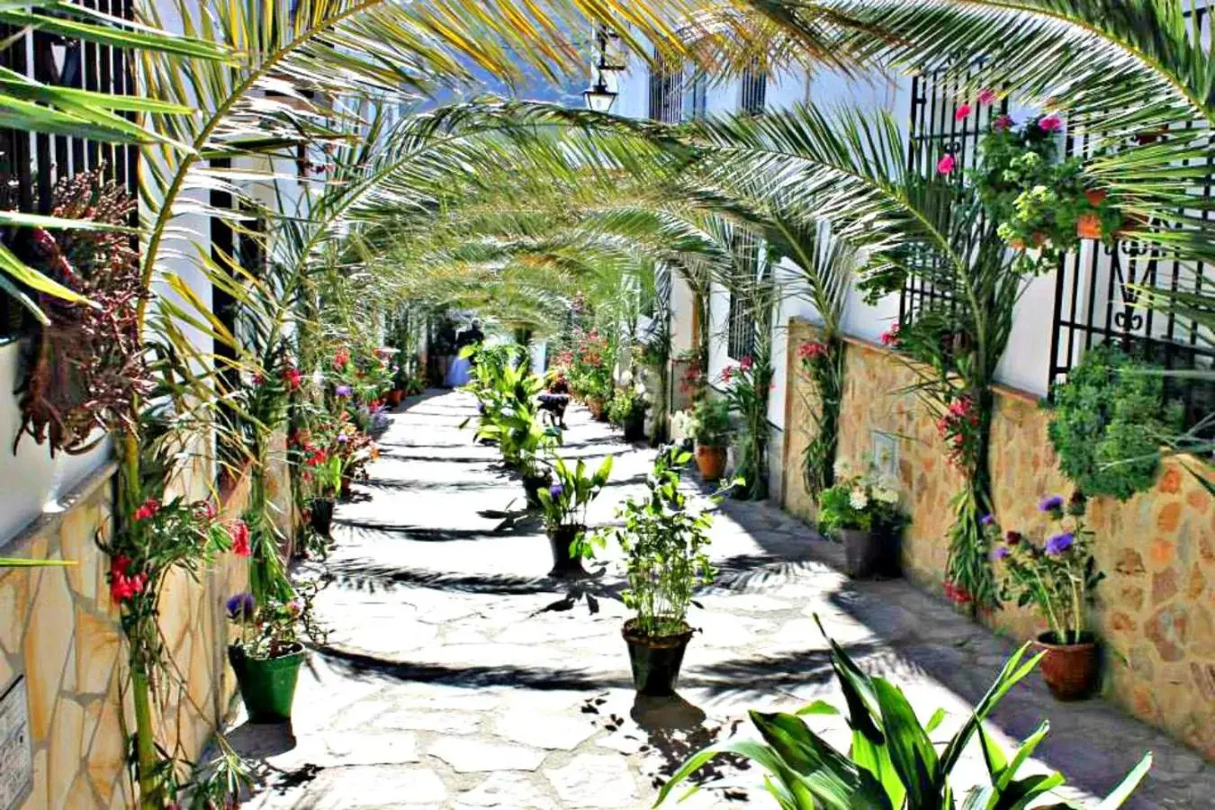 Neighbourhood in Casas Rurales Los Algarrobales