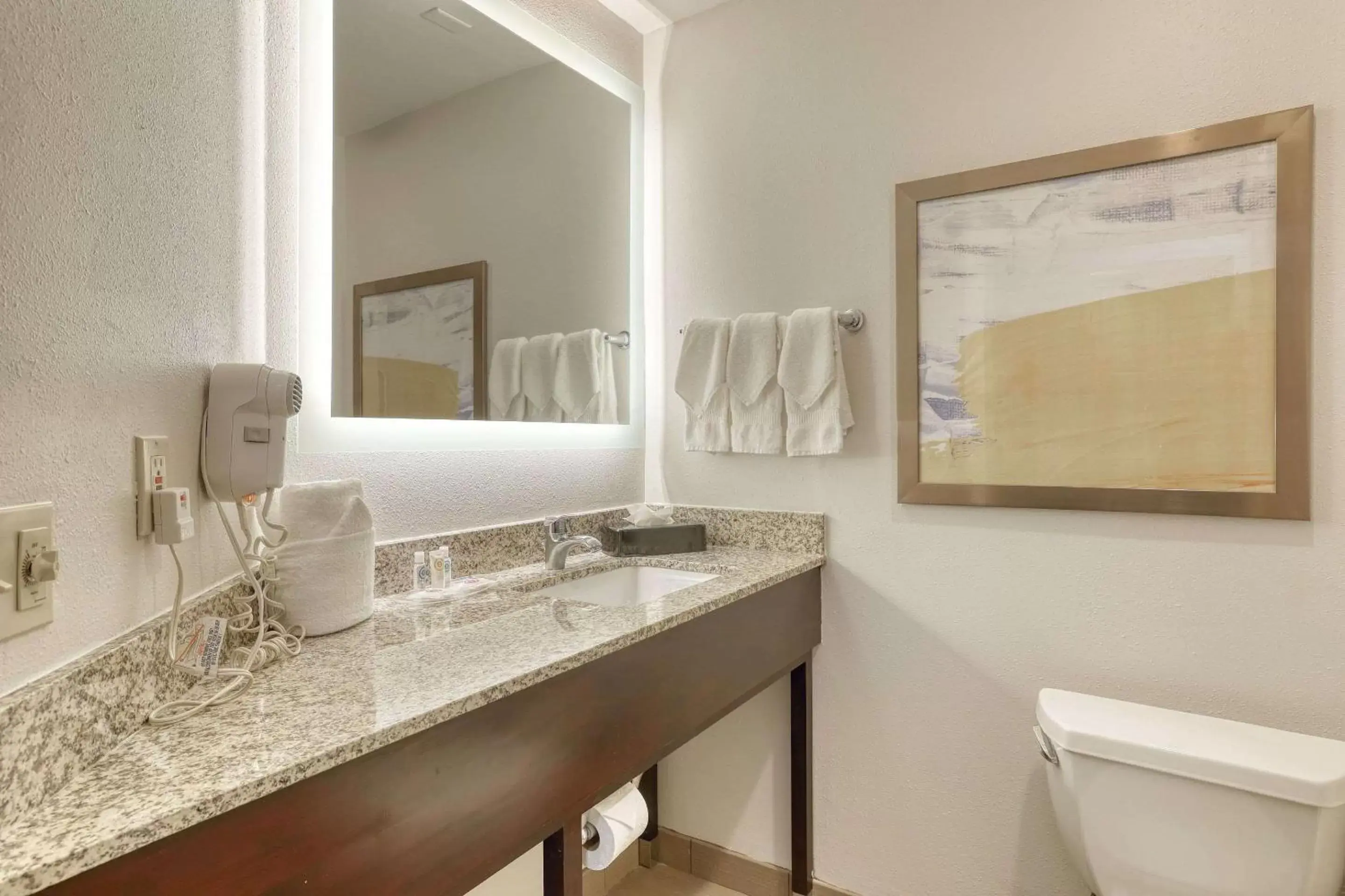 Bedroom, Bathroom in Comfort Suites Milwaukee Airport