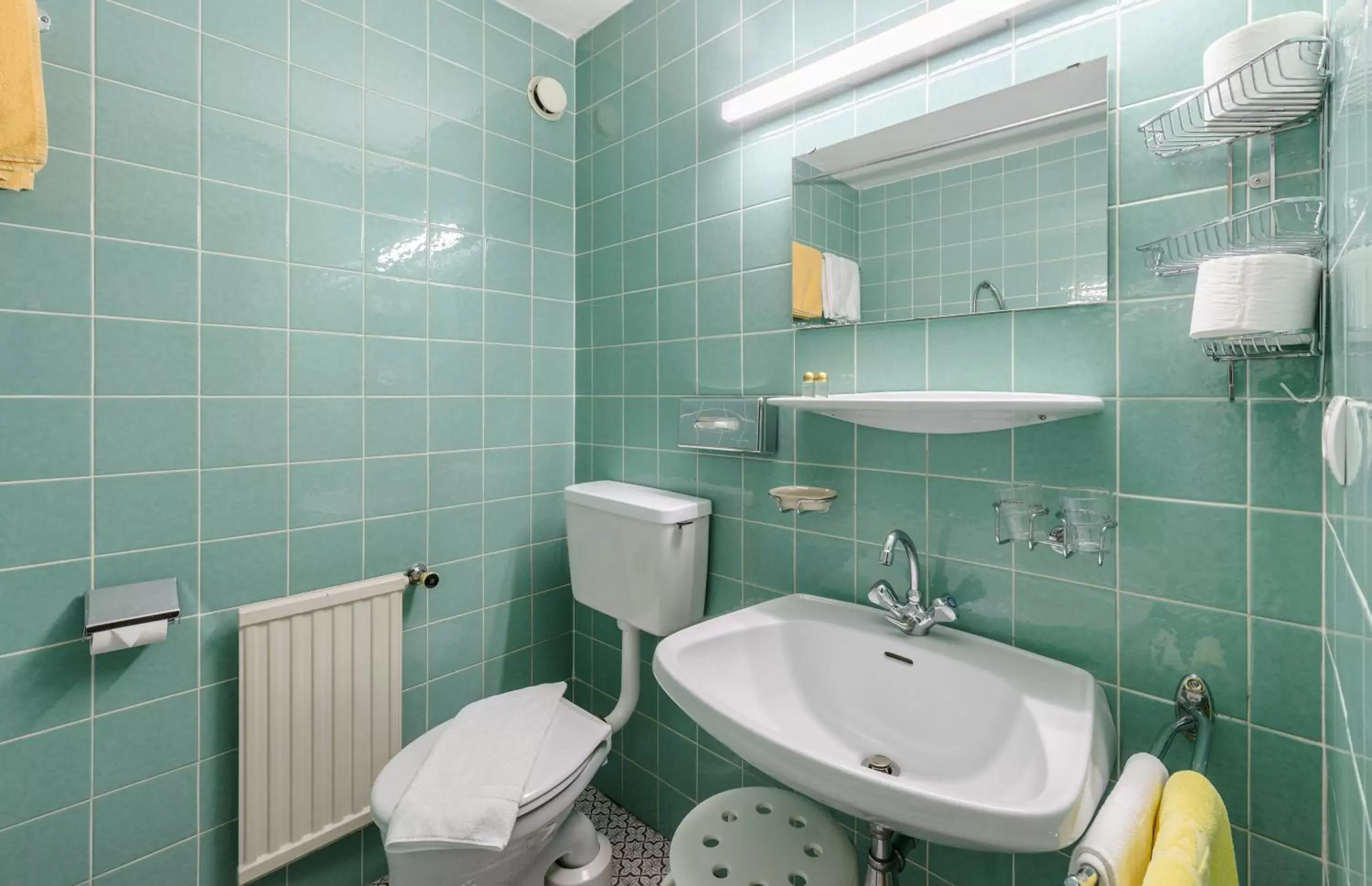 Toilet, Bathroom in Bärenwirth