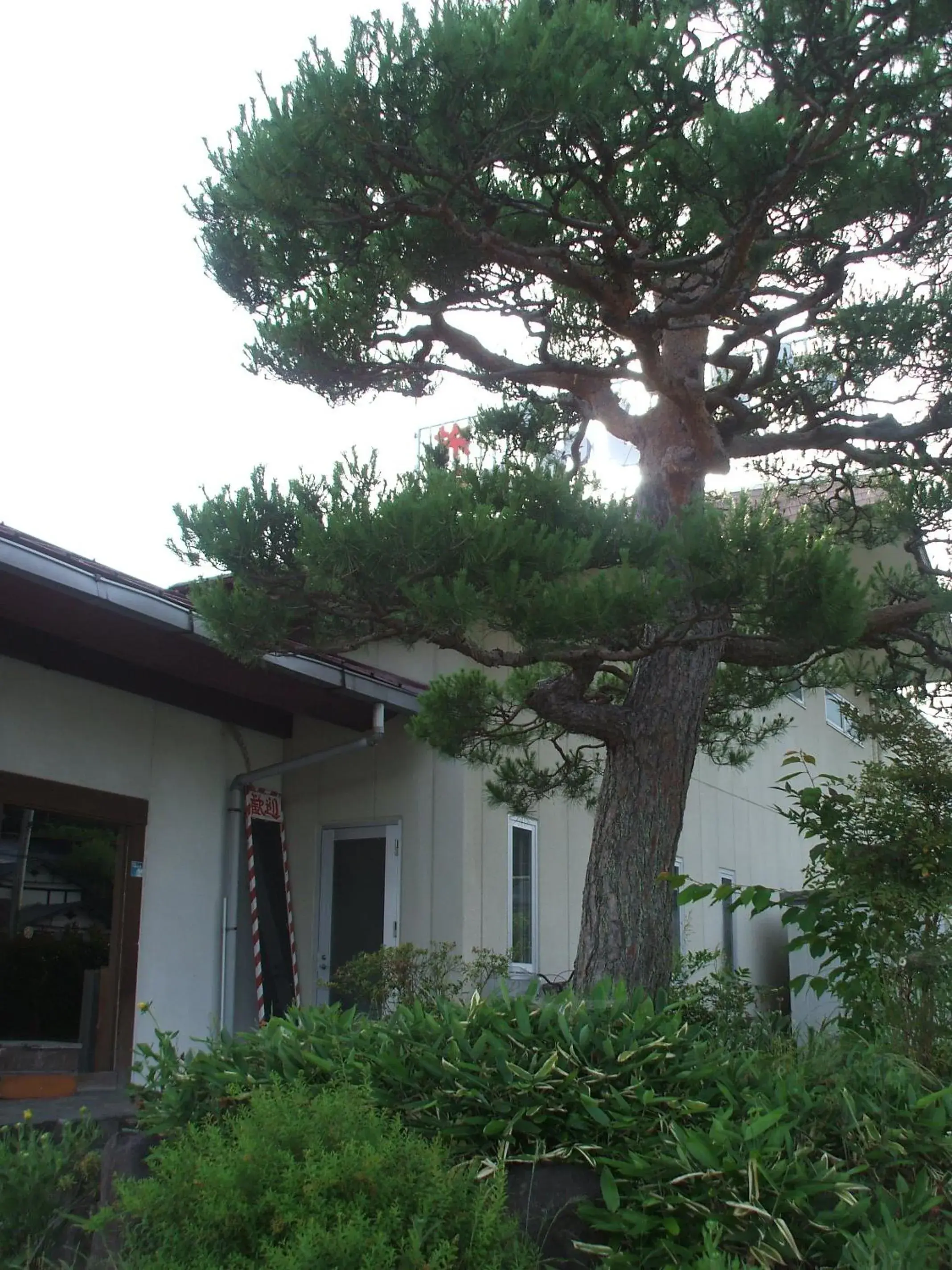 Other, Property Building in Fujiya Ryokan