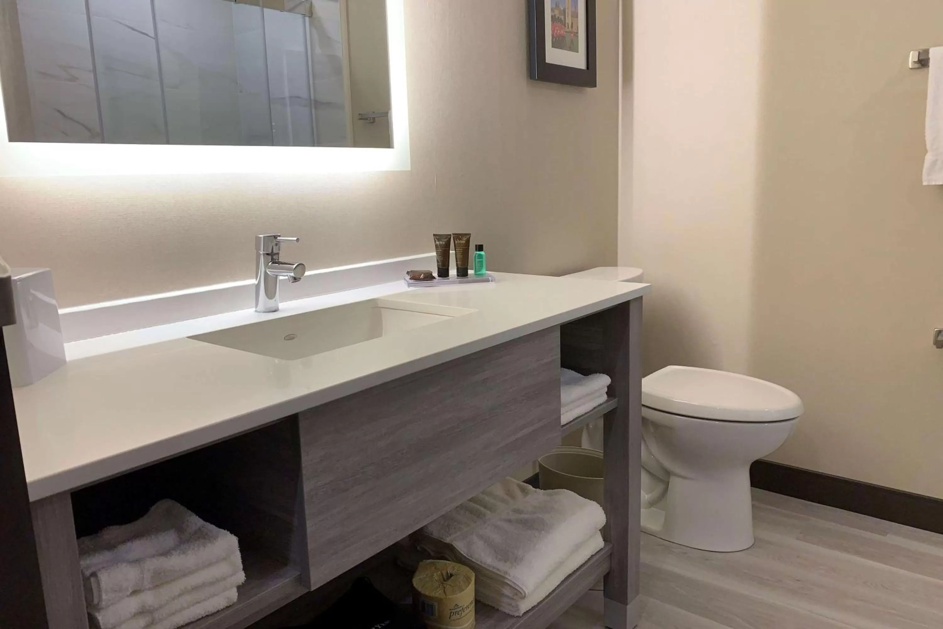 Bathroom in Wingate by Wyndham Kanata West Ottawa