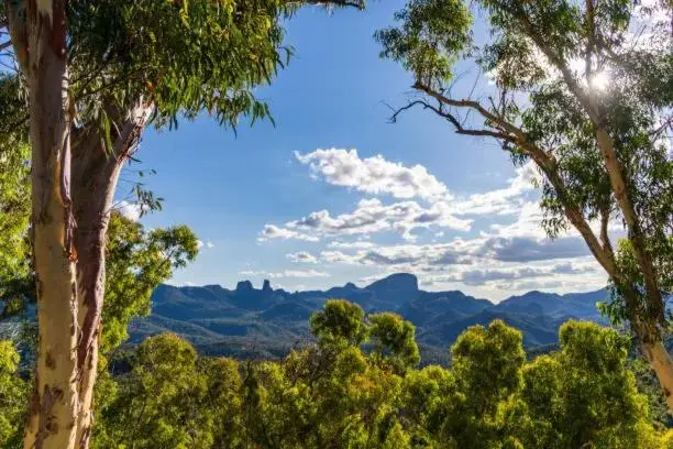 Mountain View in Matthew Flinders Motor Inn