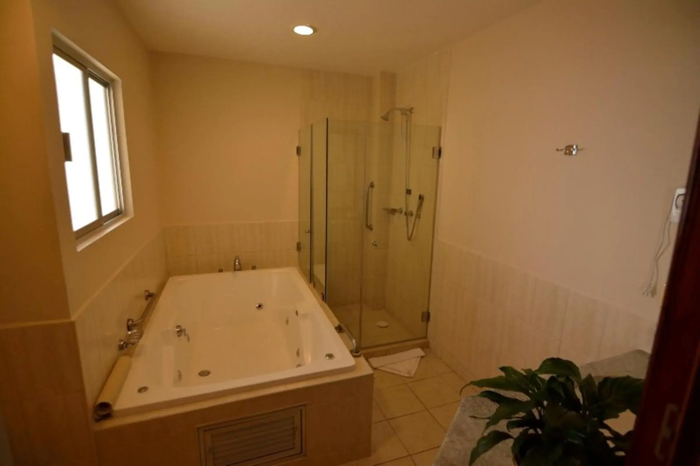Shower, Bathroom in Plaza Uruapan Hotel 