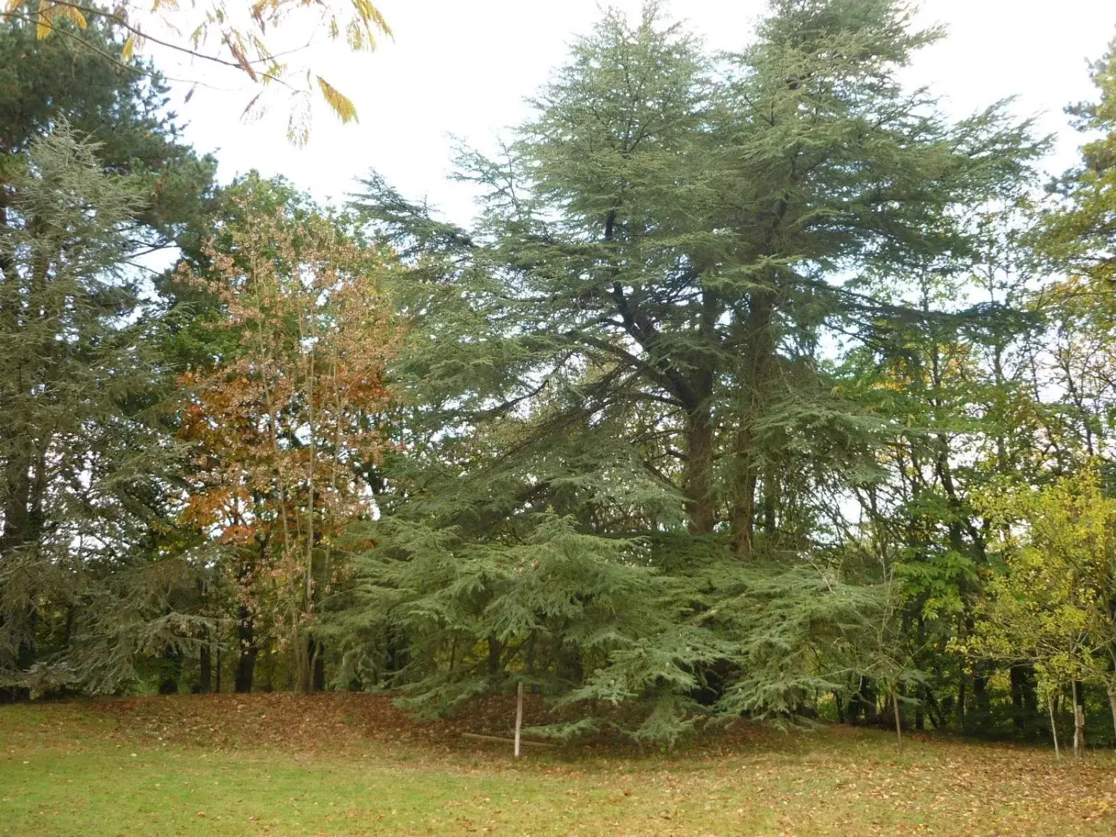 Garden view, Garden in Stretcha