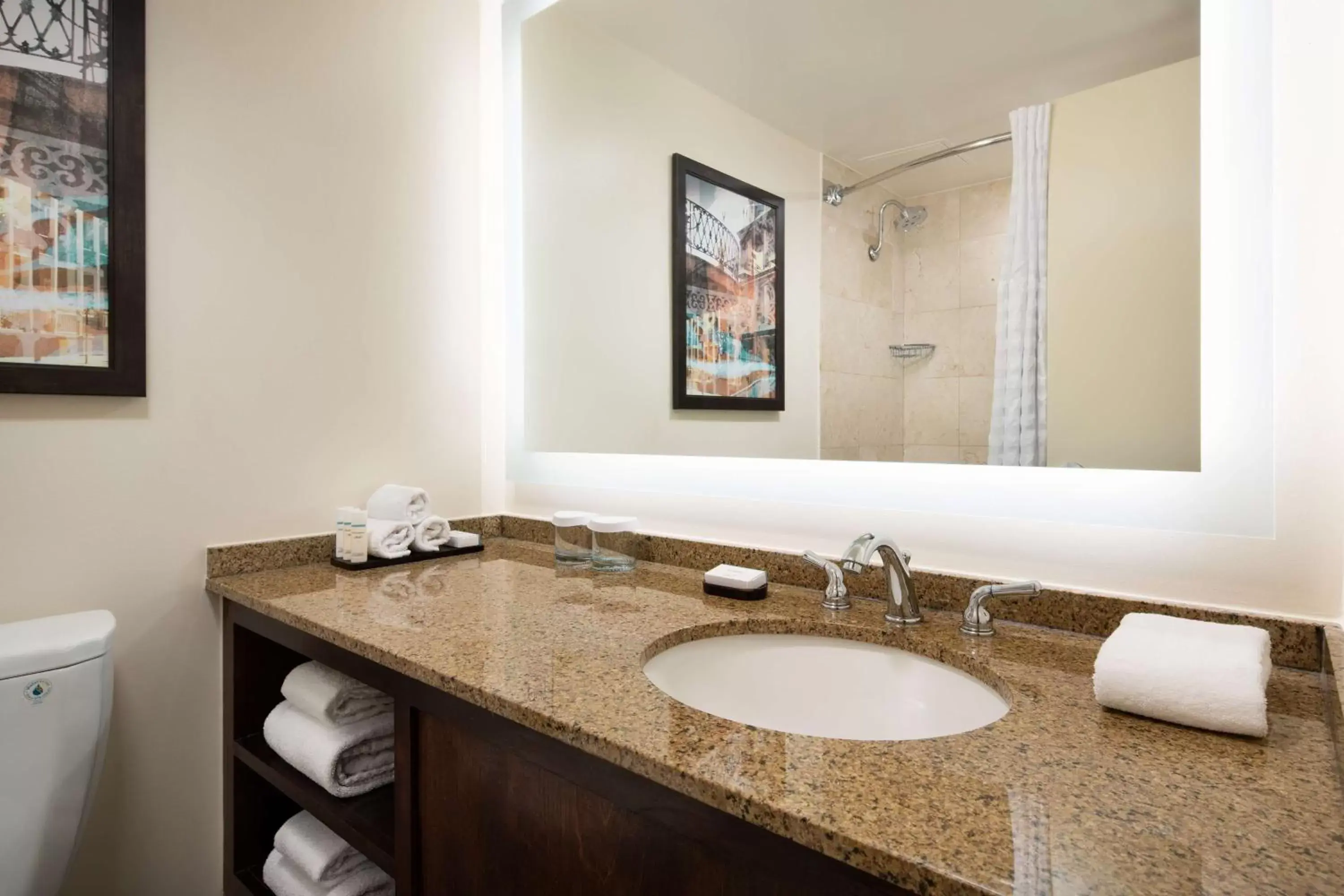 Bathroom in Embassy Suites by Hilton New Orleans Convention Center