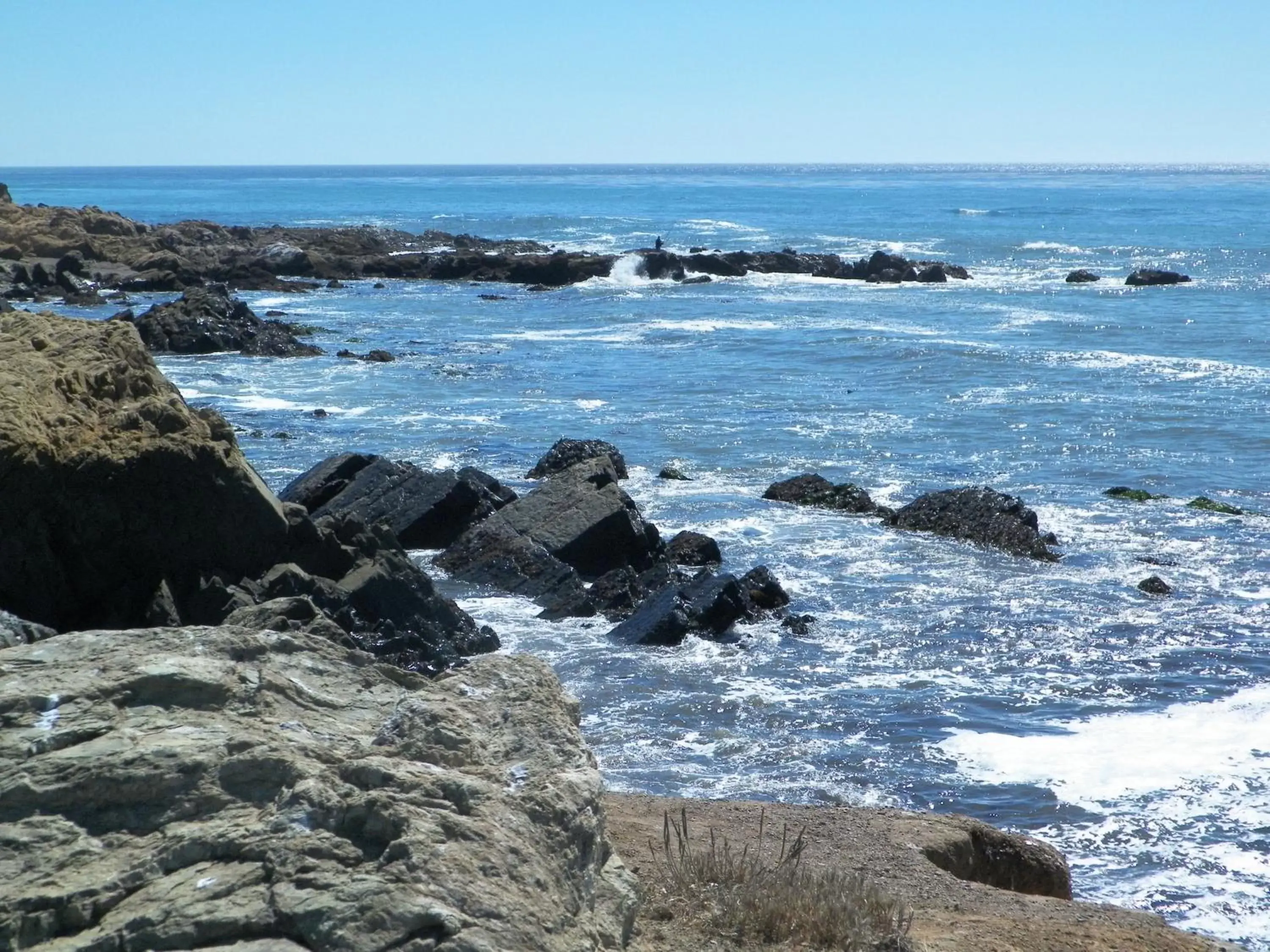 Area and facilities, Natural Landscape in Sea Otter Inn