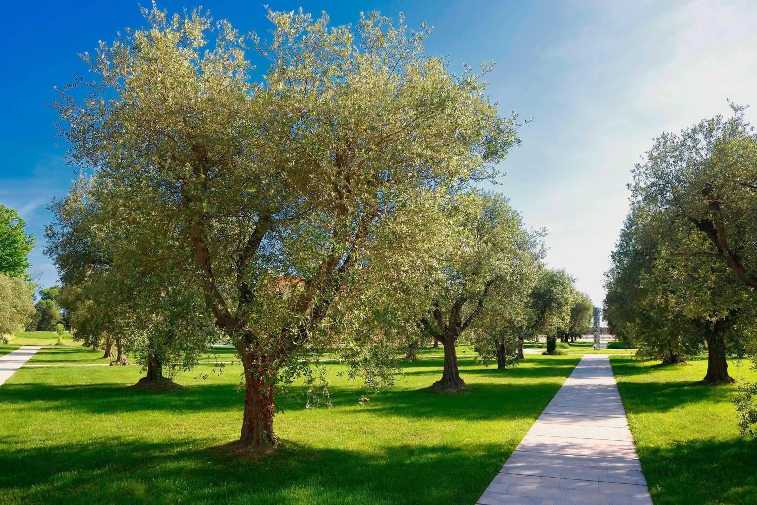 Other, Garden in JW Marriott Venice Resort & Spa