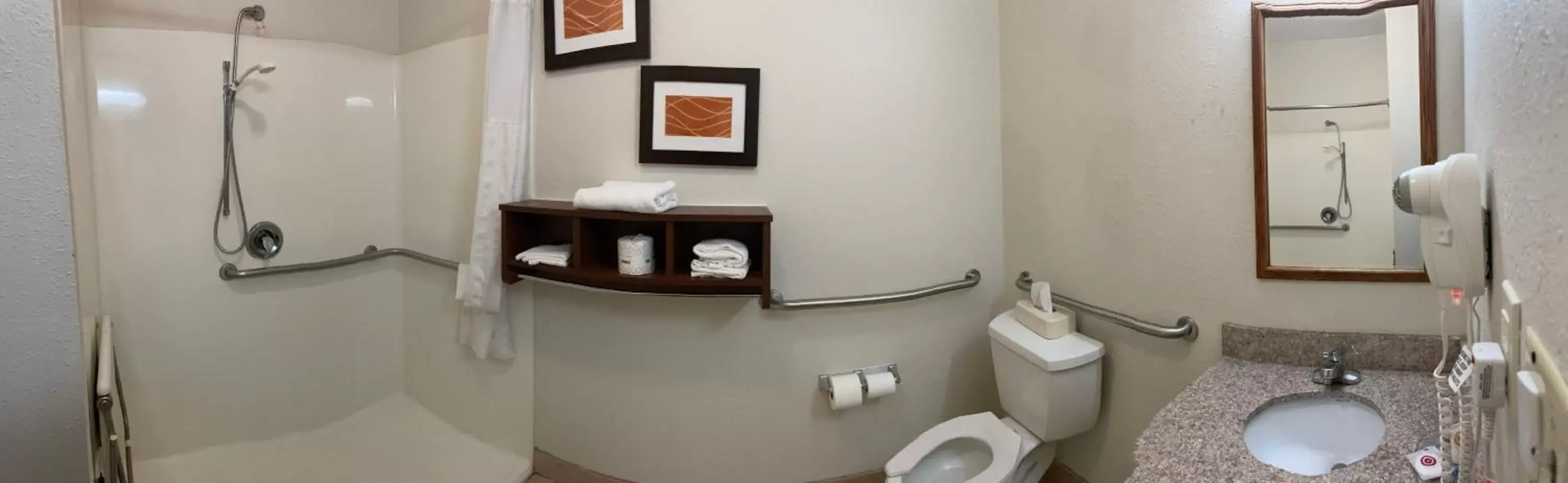 Bathroom in Comfort Inn Downtown - University Area