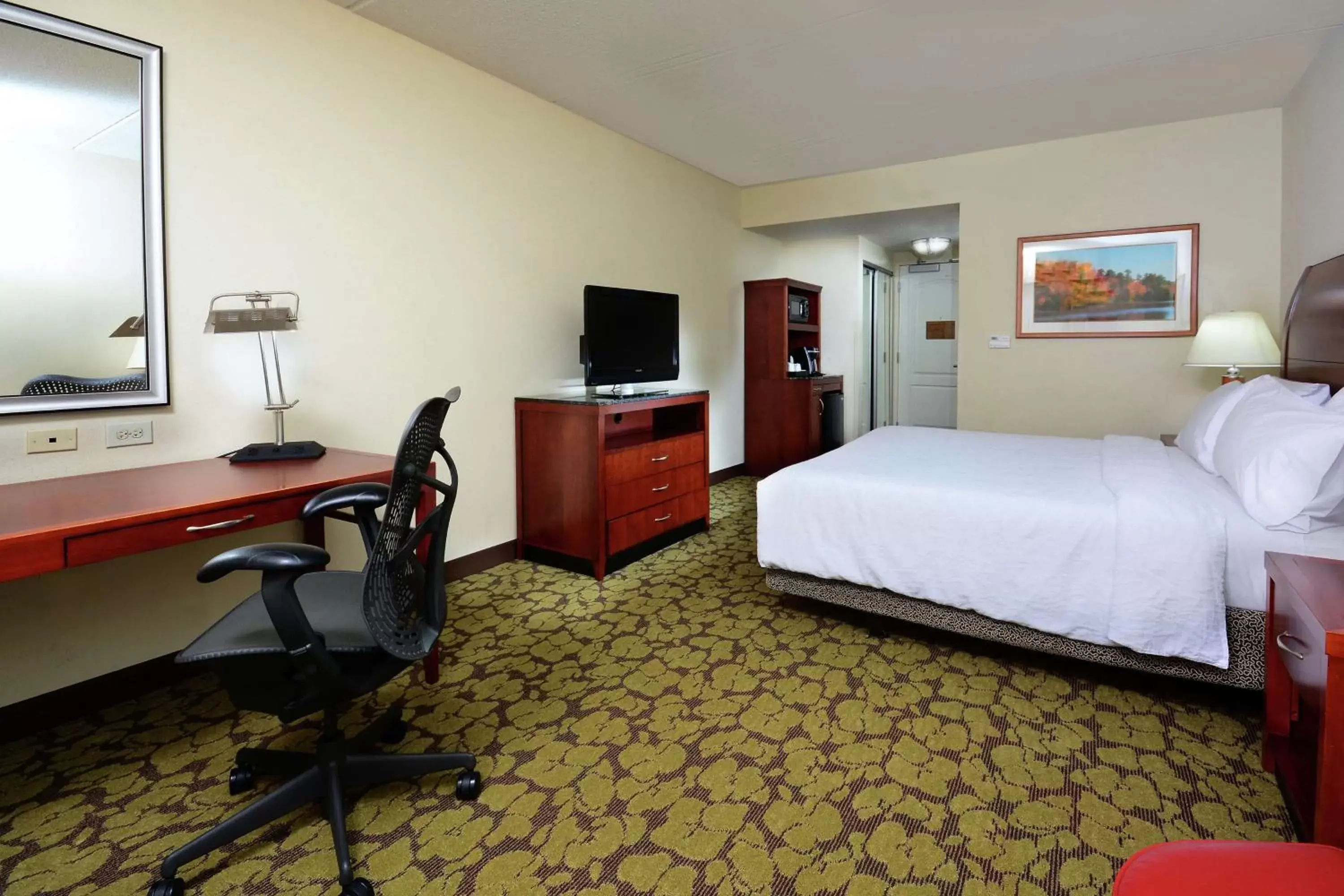 Bedroom, TV/Entertainment Center in Hilton Garden Inn Raleigh Capital Blvd I-540