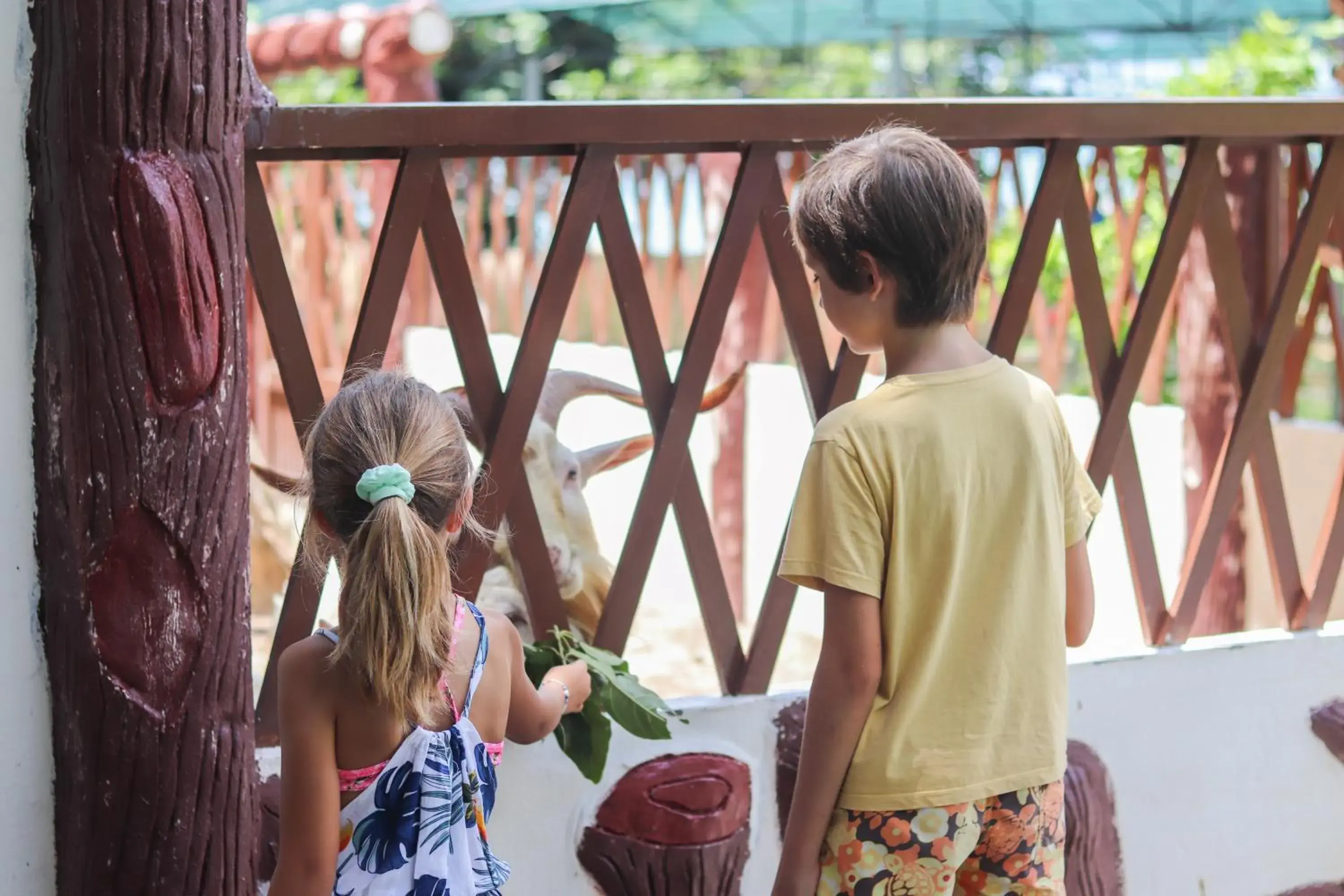 Activities, Children in Premier Village Phu Quoc Resort Managed by Accor