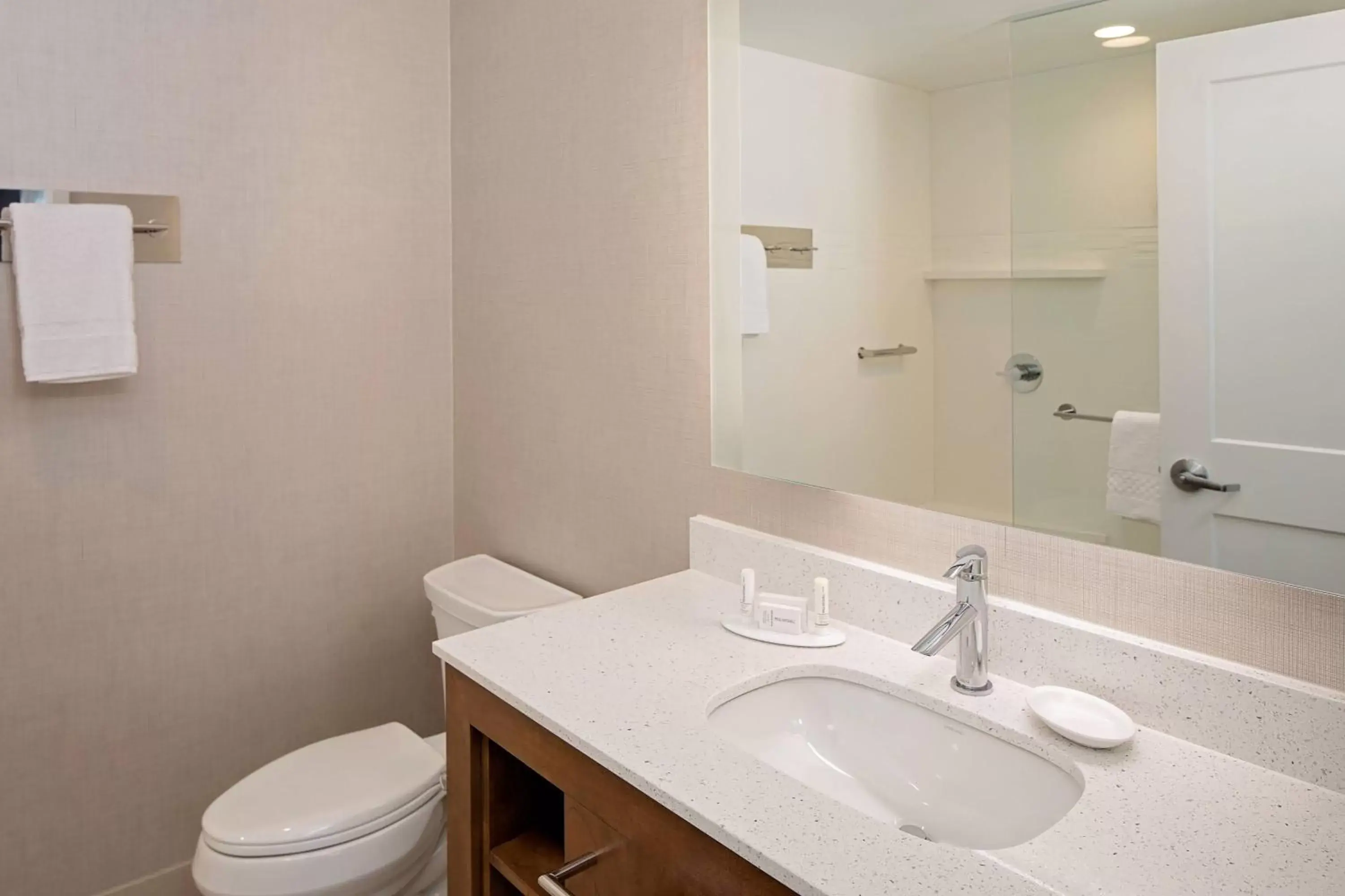 Bathroom in Residence Inn by Marriott Charleston Summerville